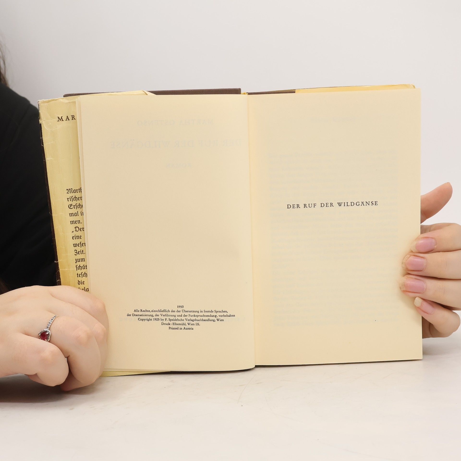 Martha Ostenso Der Ruf der Wildgänse