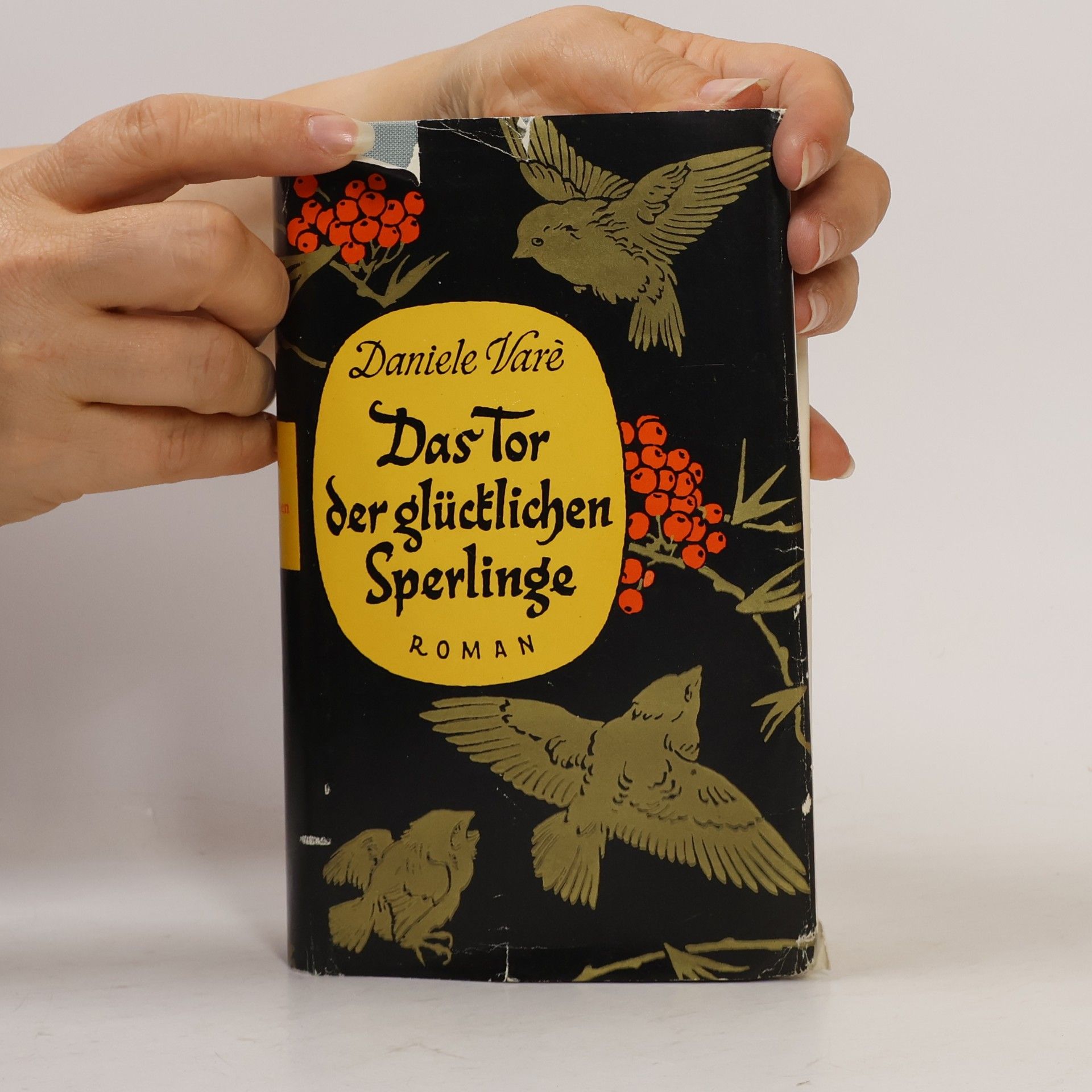 Daniele Varè Das Tor der glücklichen Sperlinge