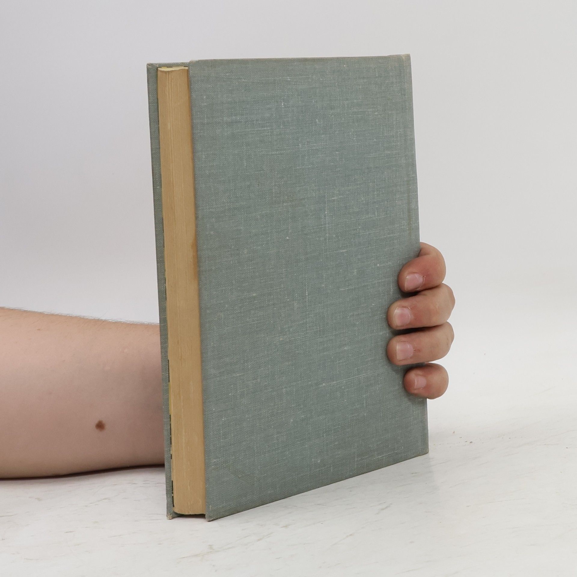 Harper Lee Nezabijajte vtáčika
