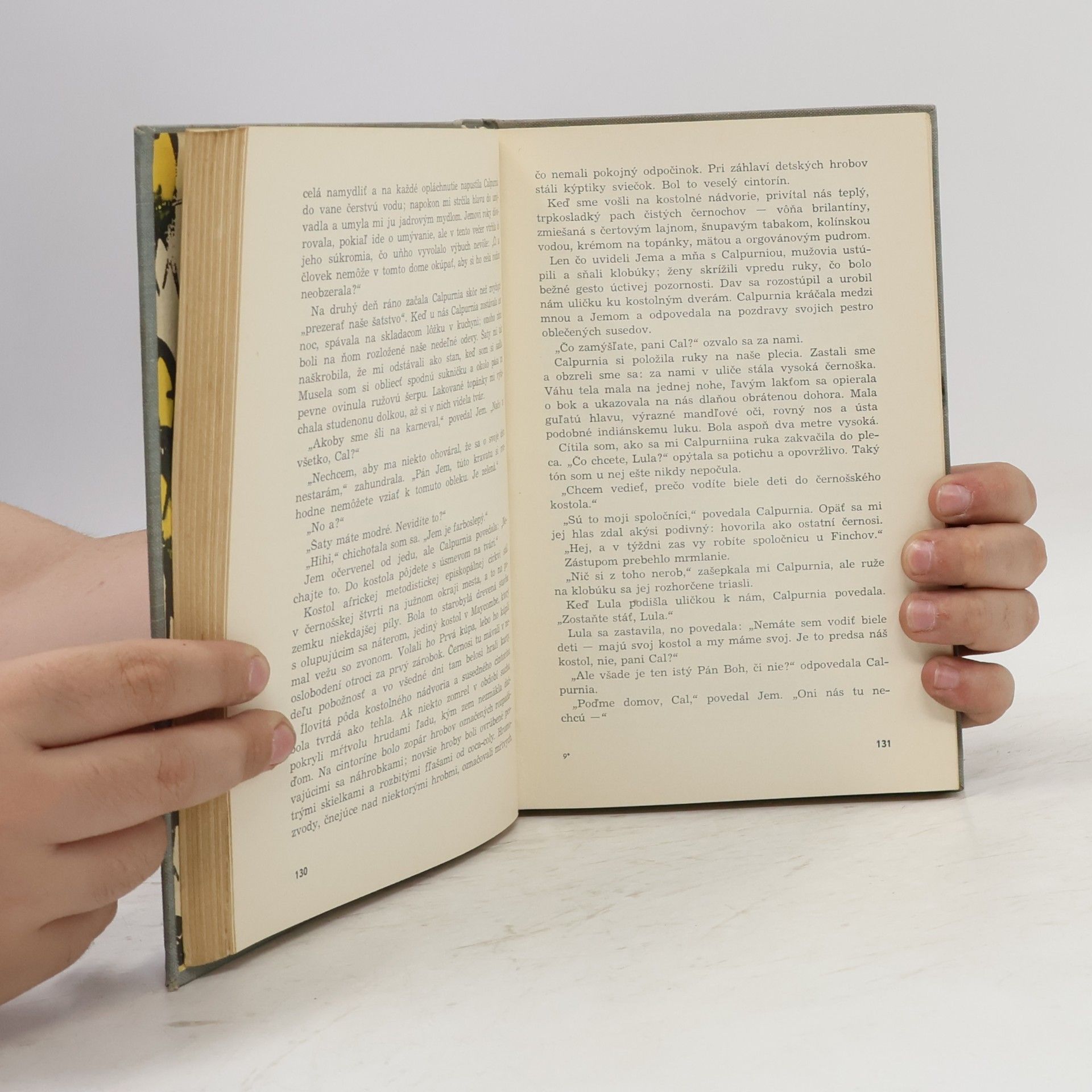 Harper Lee Nezabijajte vtáčika