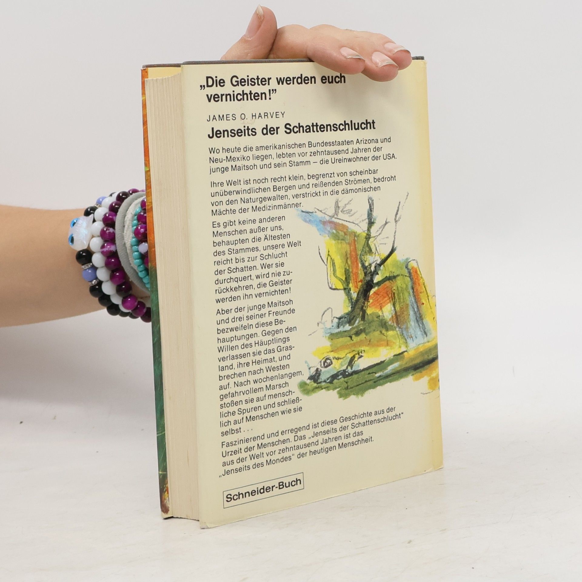 James O. Harvey Jenseits der Schattenschlucht