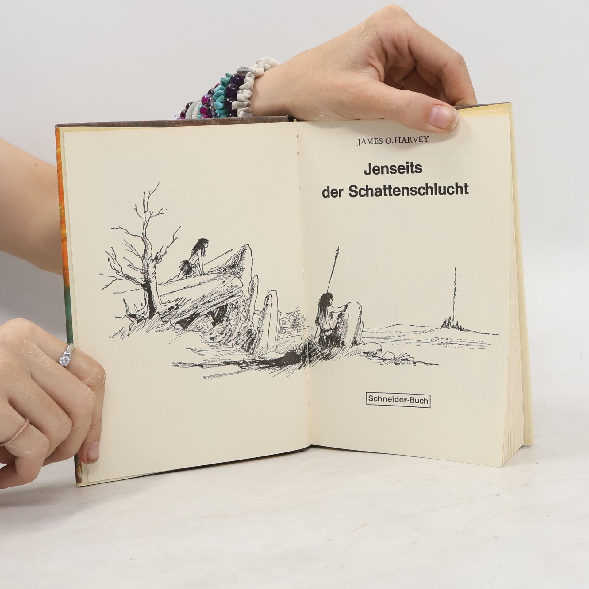 James O. Harvey Jenseits der Schattenschlucht