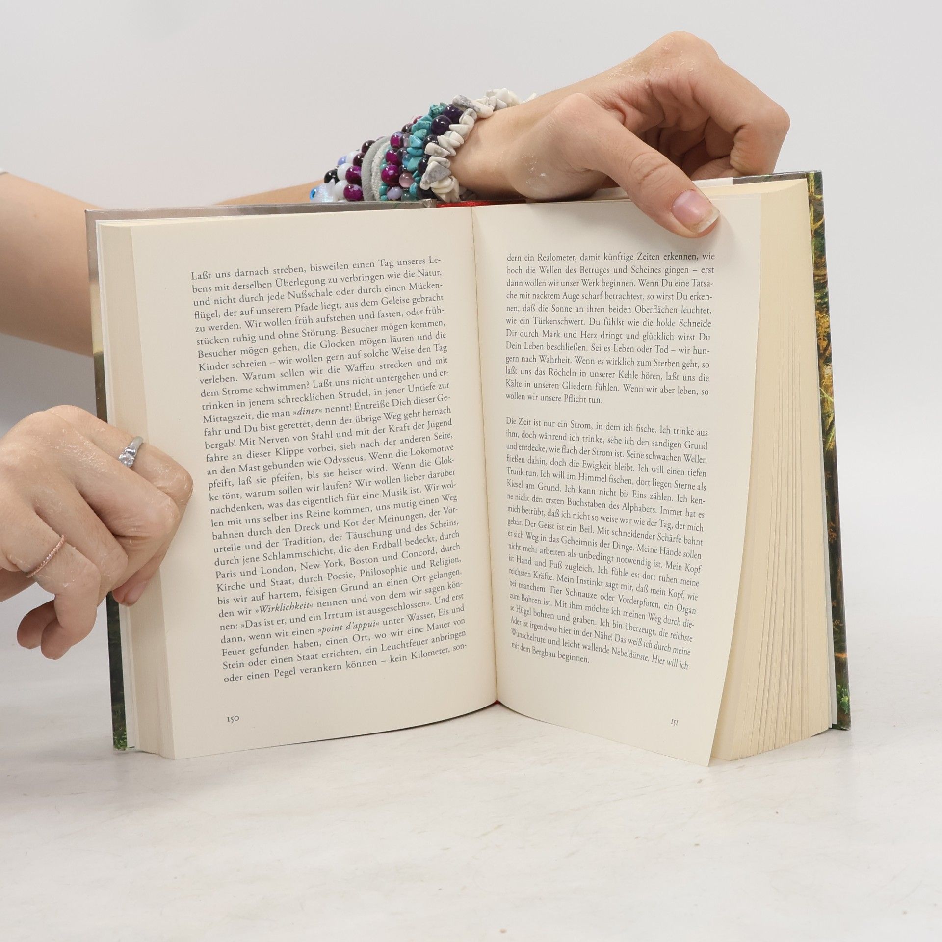 Henry David Thoreau Walden oder Leben in den Wäldern