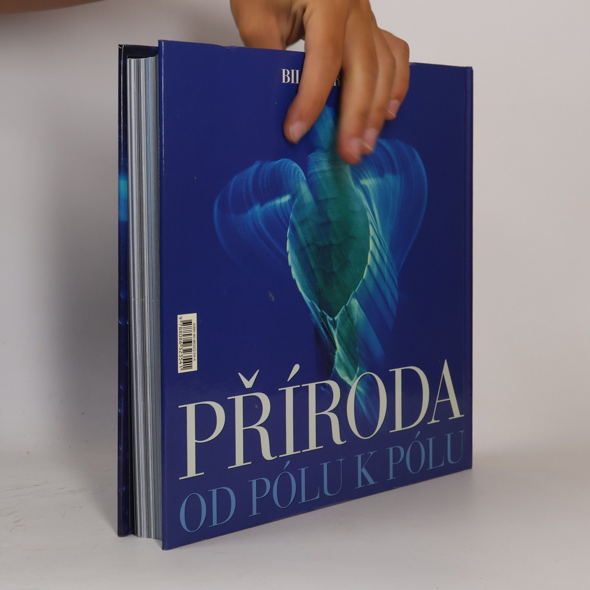 Bill Curtsinger Příroda od pólu k pólu