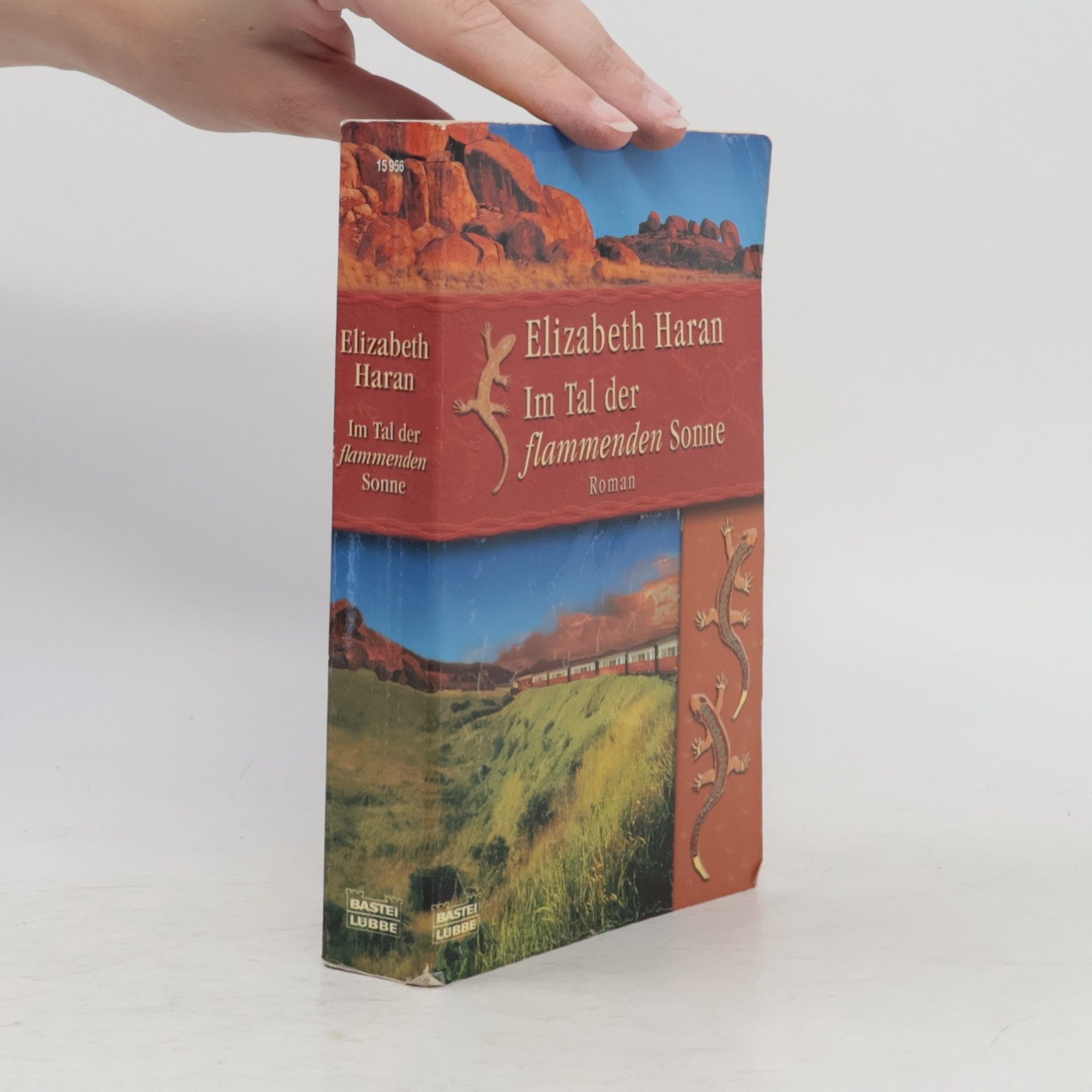 Elizabeth Haran Im Tal der flammenden Sonne