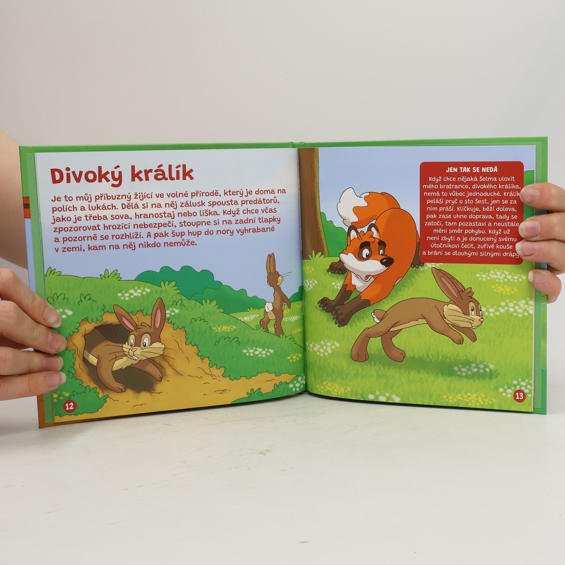 Kolektiv autorů Audio příběhy z naší farmy - Králík