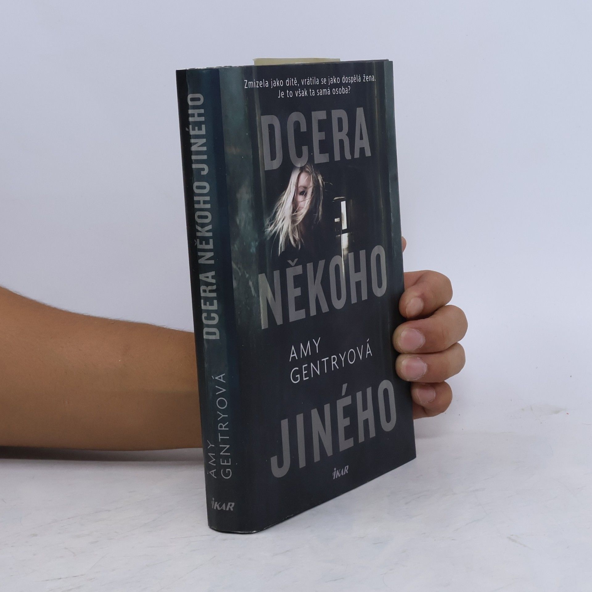 Amy Gentry Dcera někoho jiného