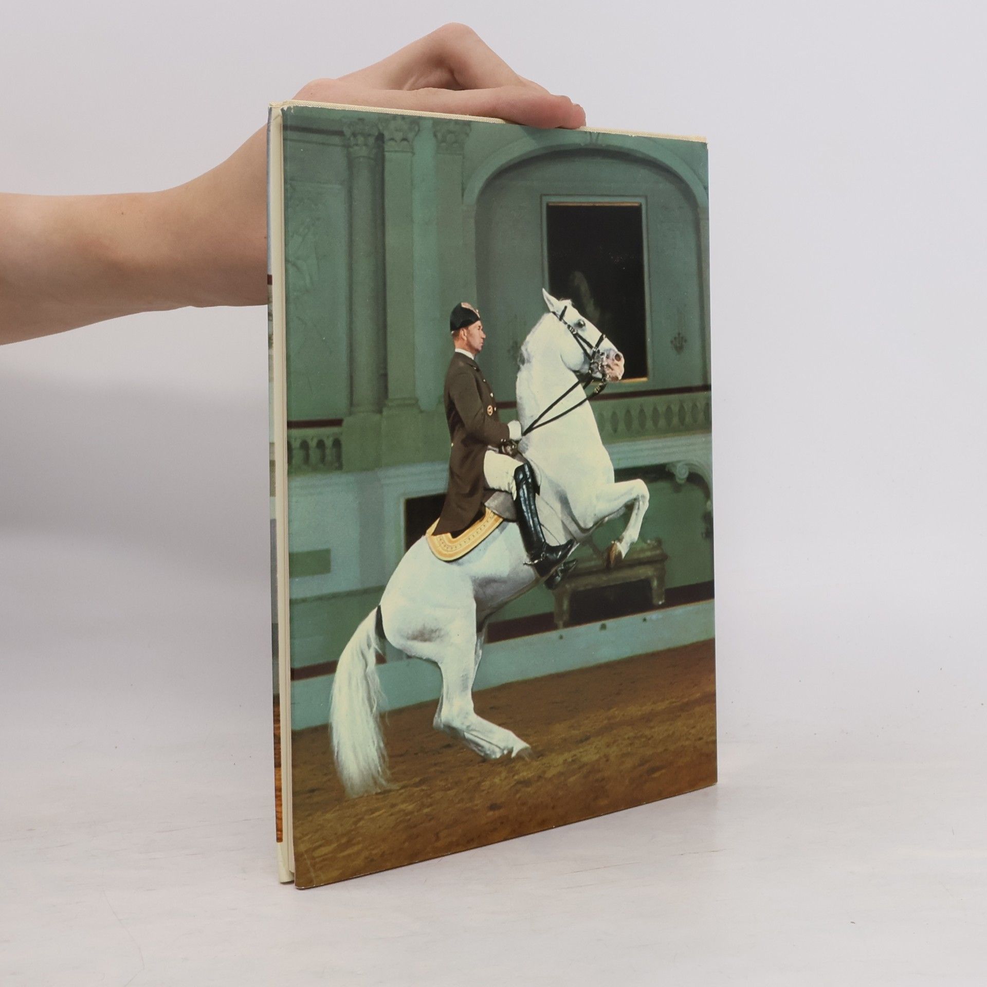 Wolfgang Reuter Von Lipizzanern und der Spanischen Reitschule