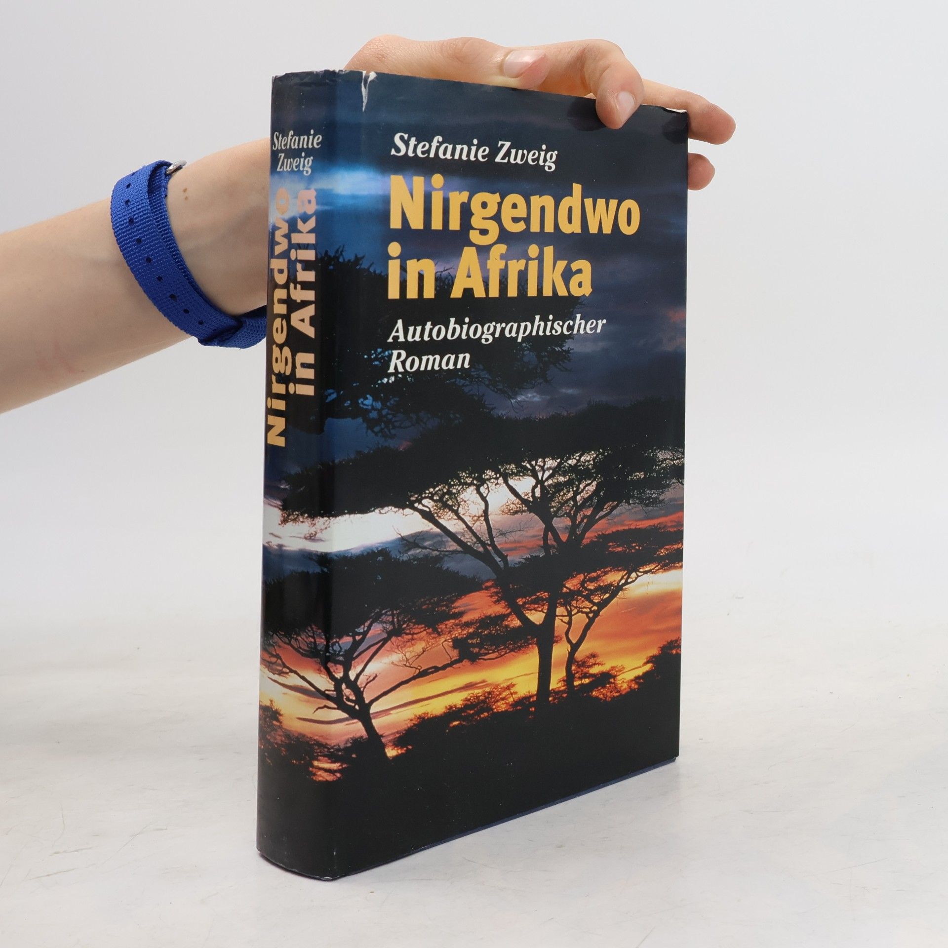 Stefanie Zweig Nirgendwo in Afrika