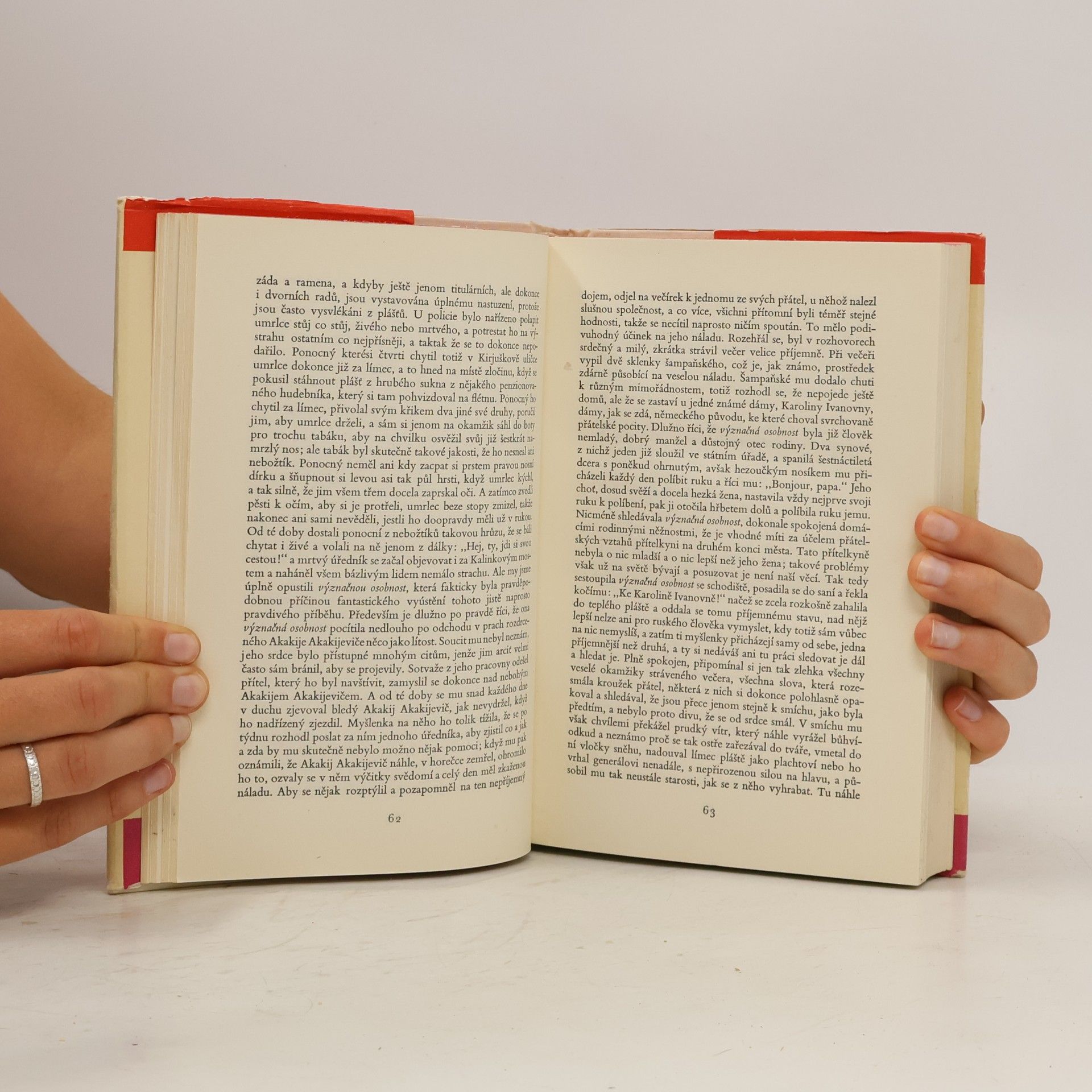 Autorenkollektiv Deset ruských novel XIX. století