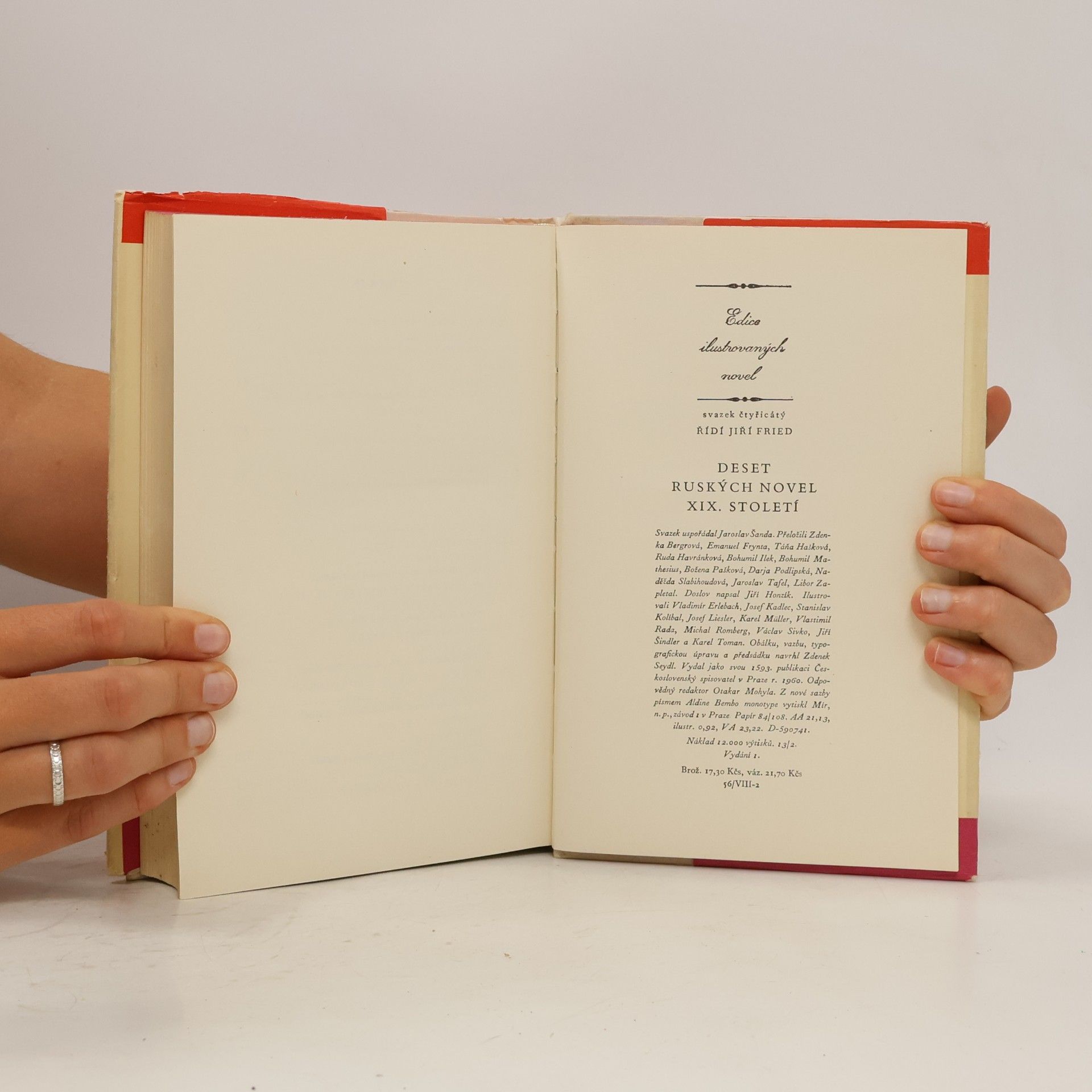 Autorenkollektiv Deset ruských novel XIX. století