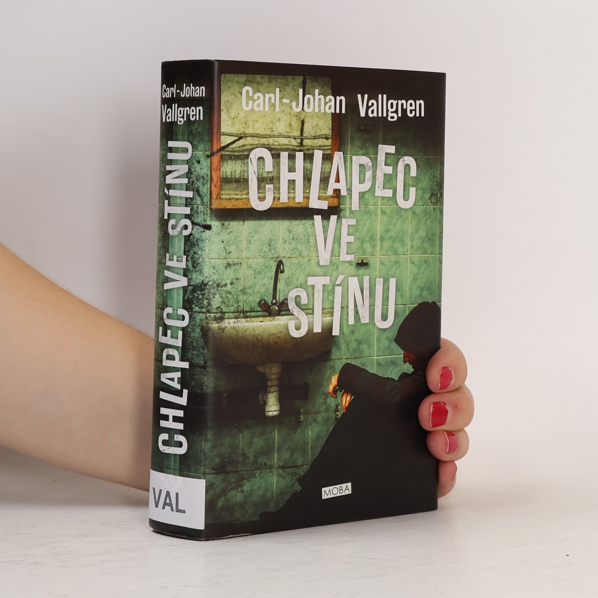Carl Johan Vallgren Chlapec ve stínu