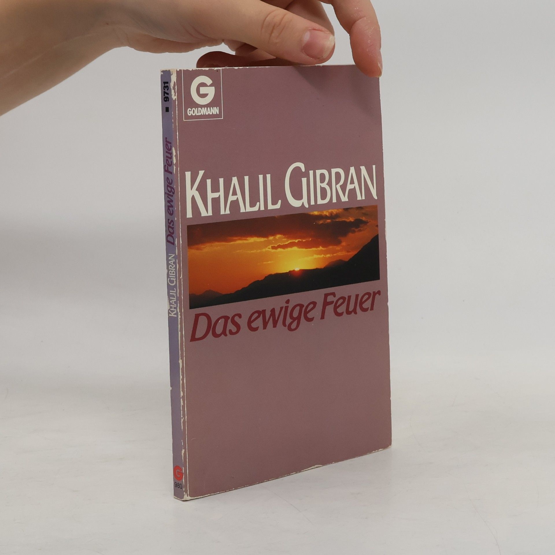 Gibran, Khalil Das ewige Feuer (Goldmann Allgemeine Reihe)