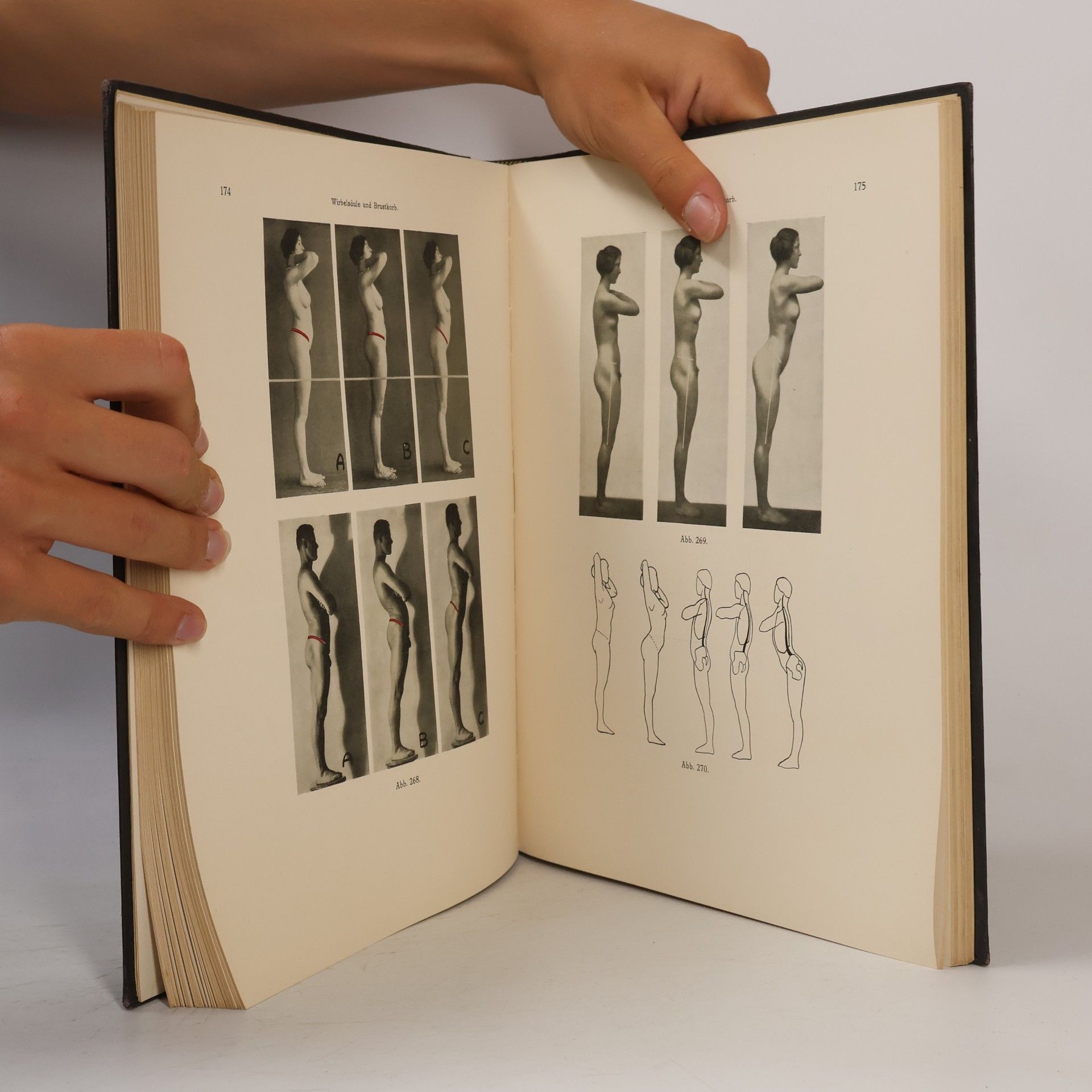 Siegfried Mollier Plastische Anatomie