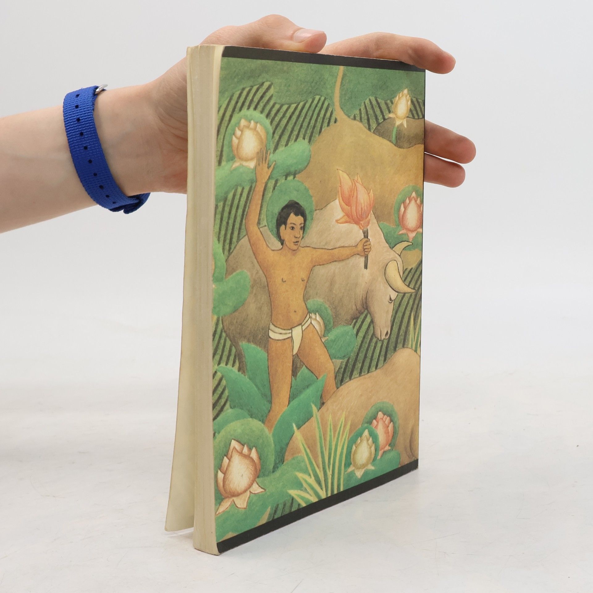 Rudyard Kipling Das Dschungelbuch