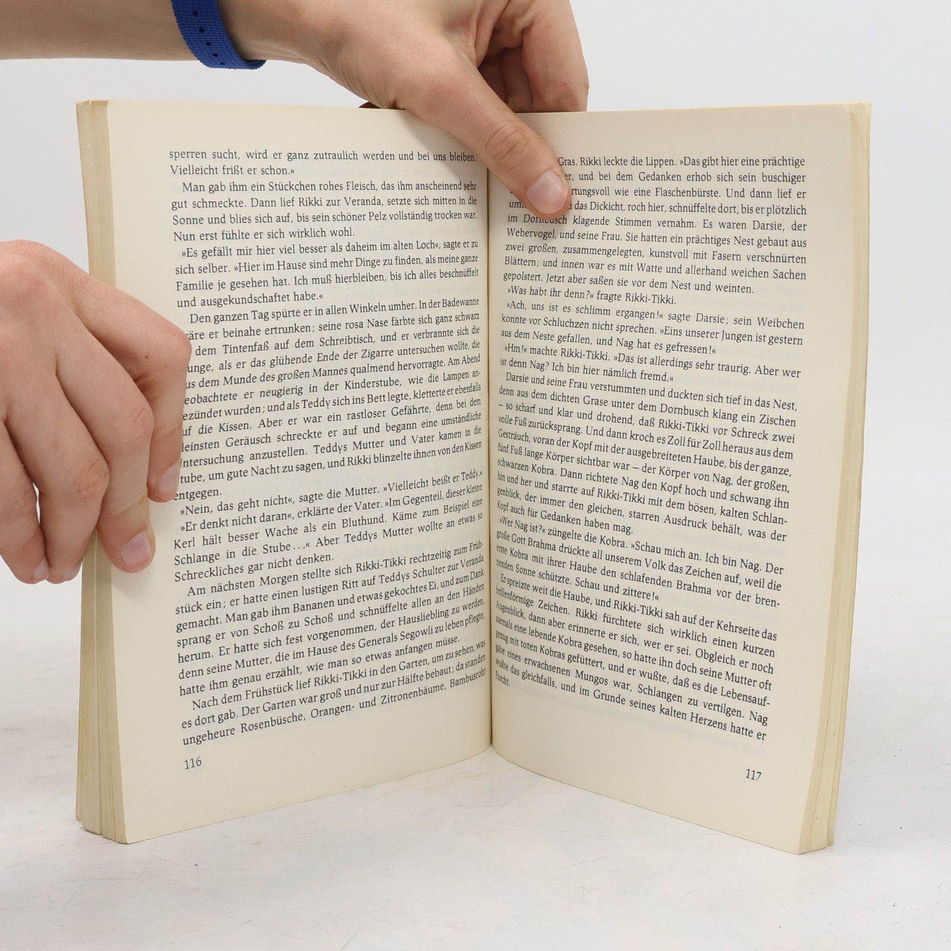 Rudyard Kipling Das Dschungelbuch