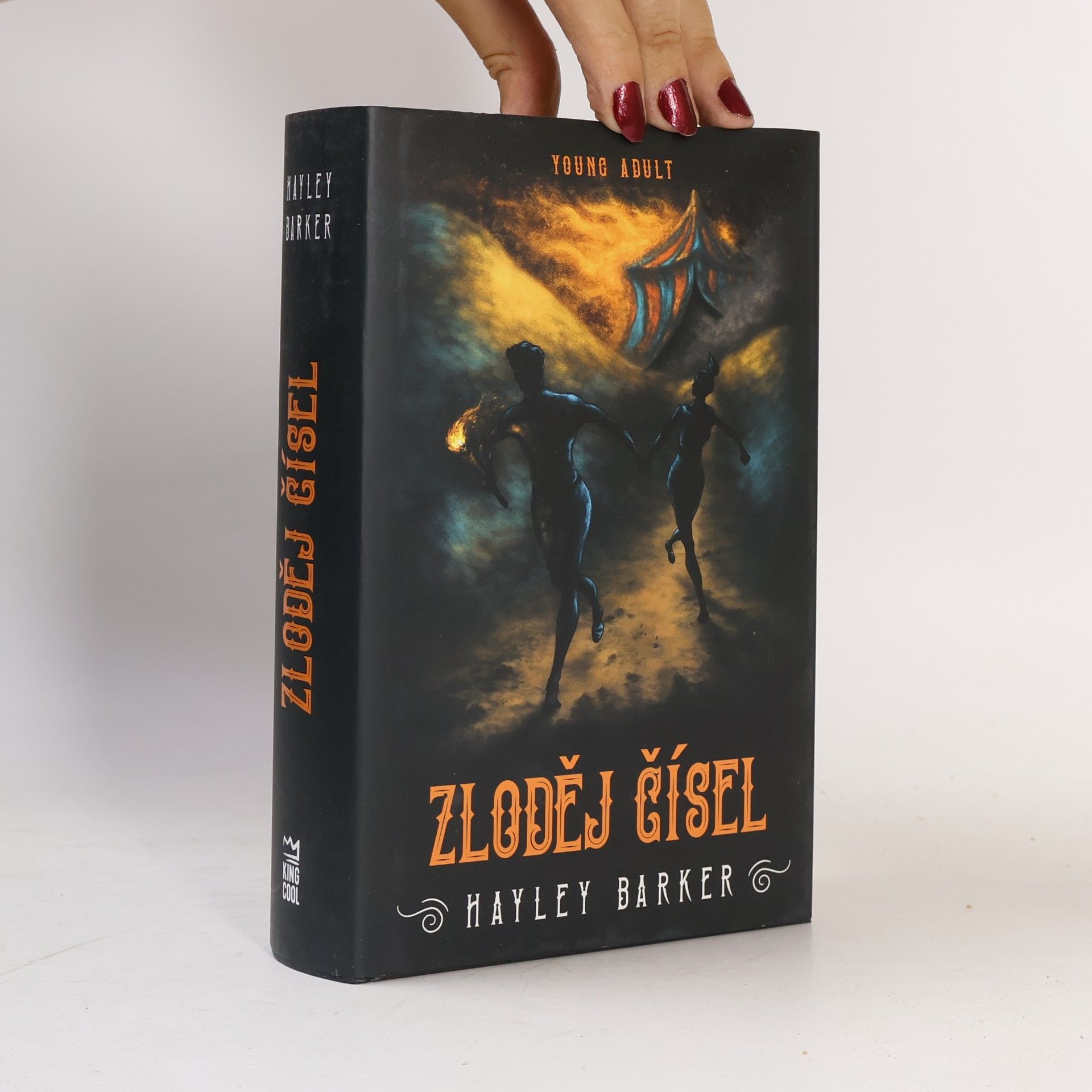 Zloděj čísel