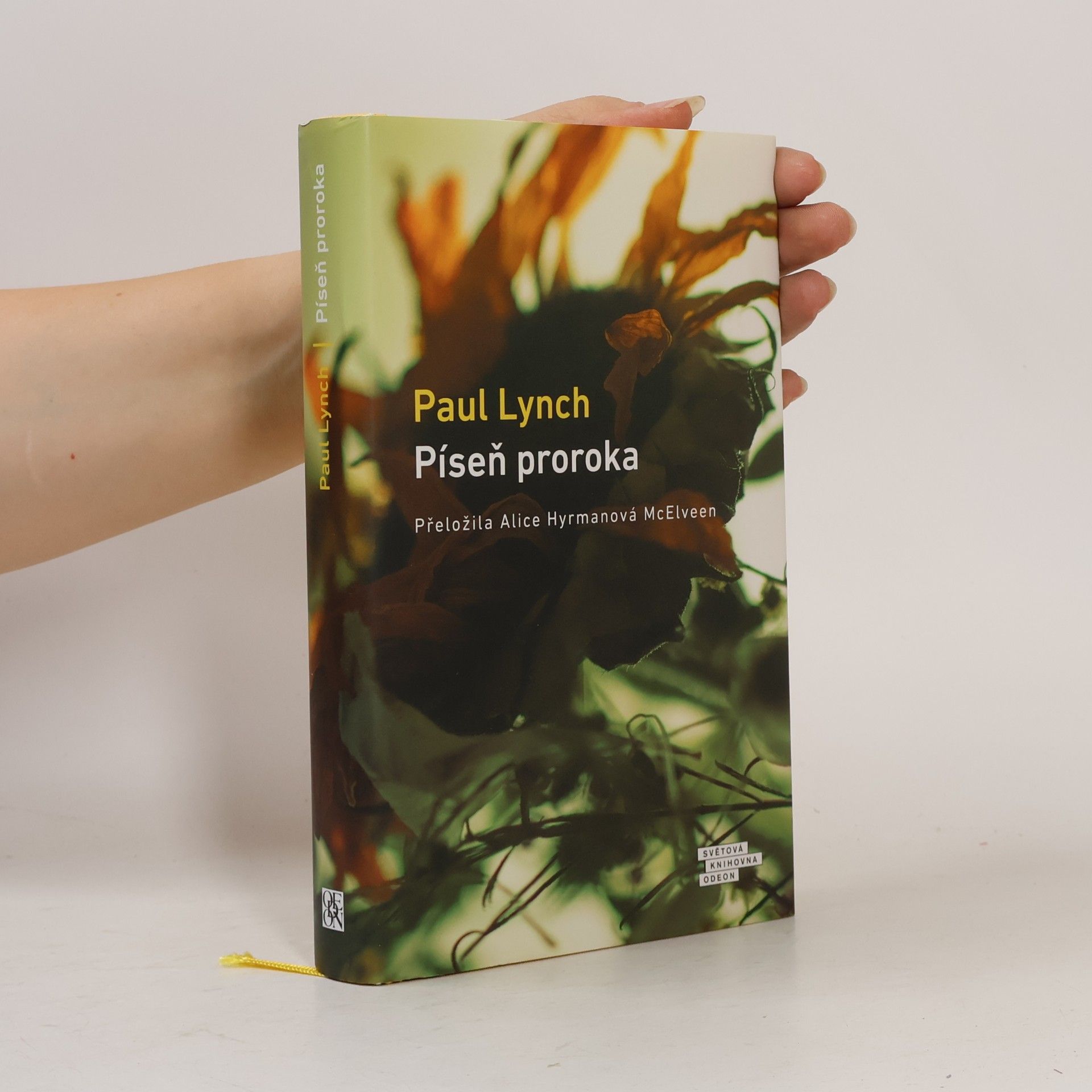 Paul Lynch Píseň proroka