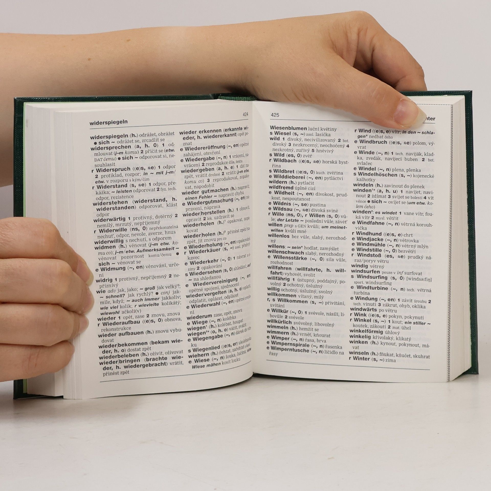 Autorenkollektiv Německo-český. Česko-německý slovník