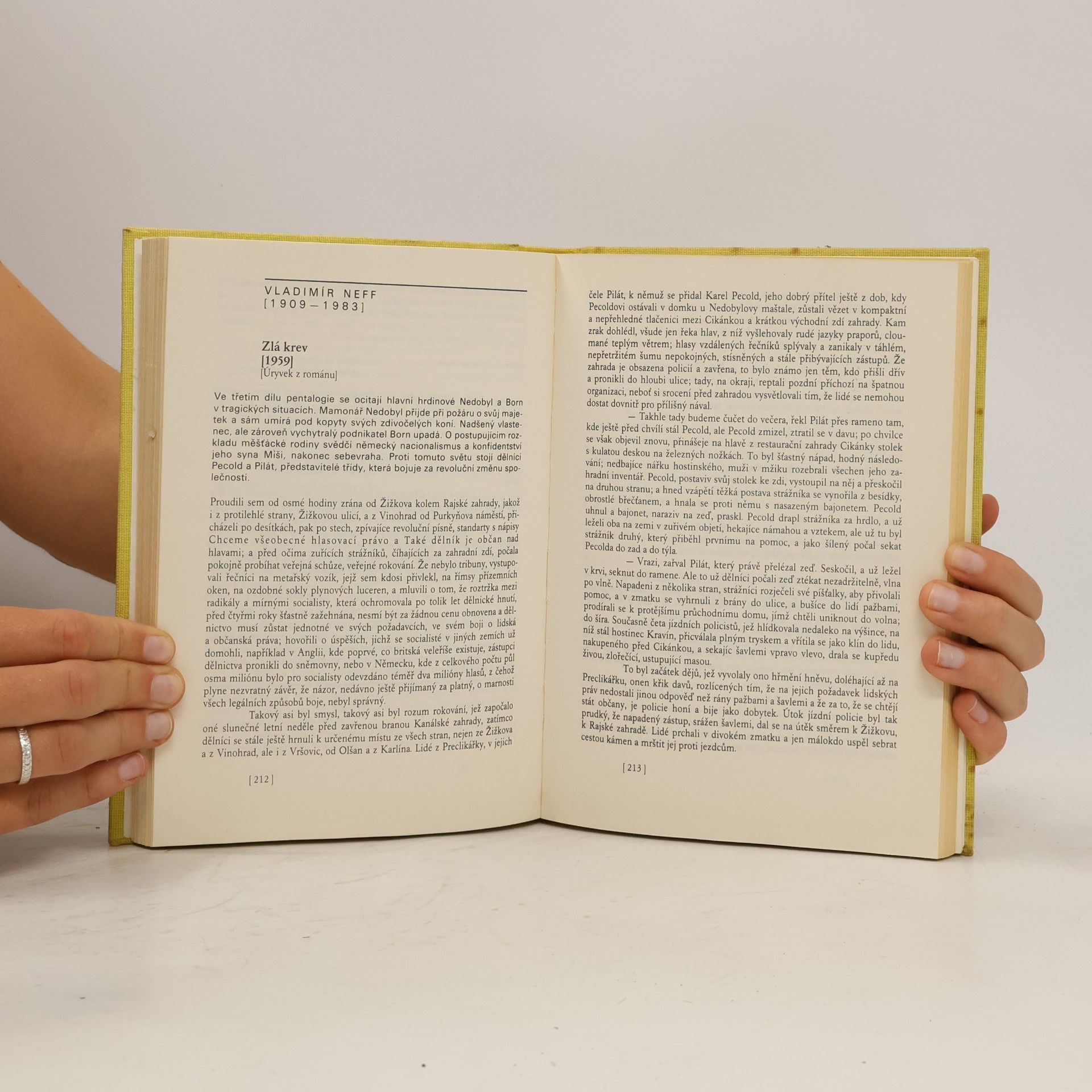 Milan Zeman Literatura IV.