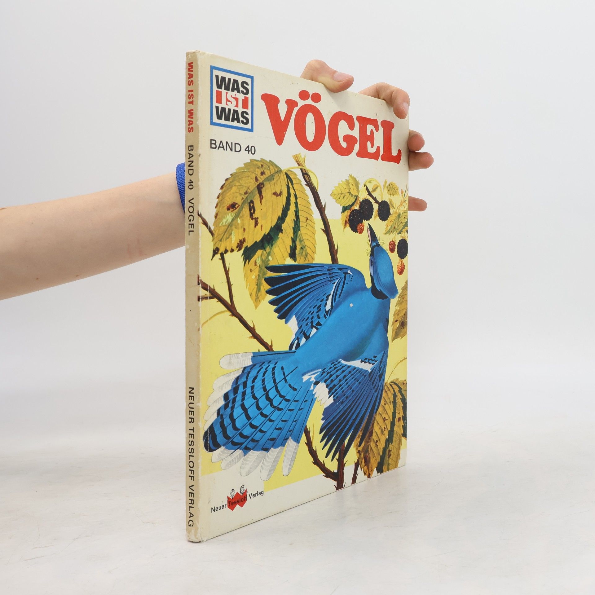 Kolektiv autorů Was ist Was 40. Vögel