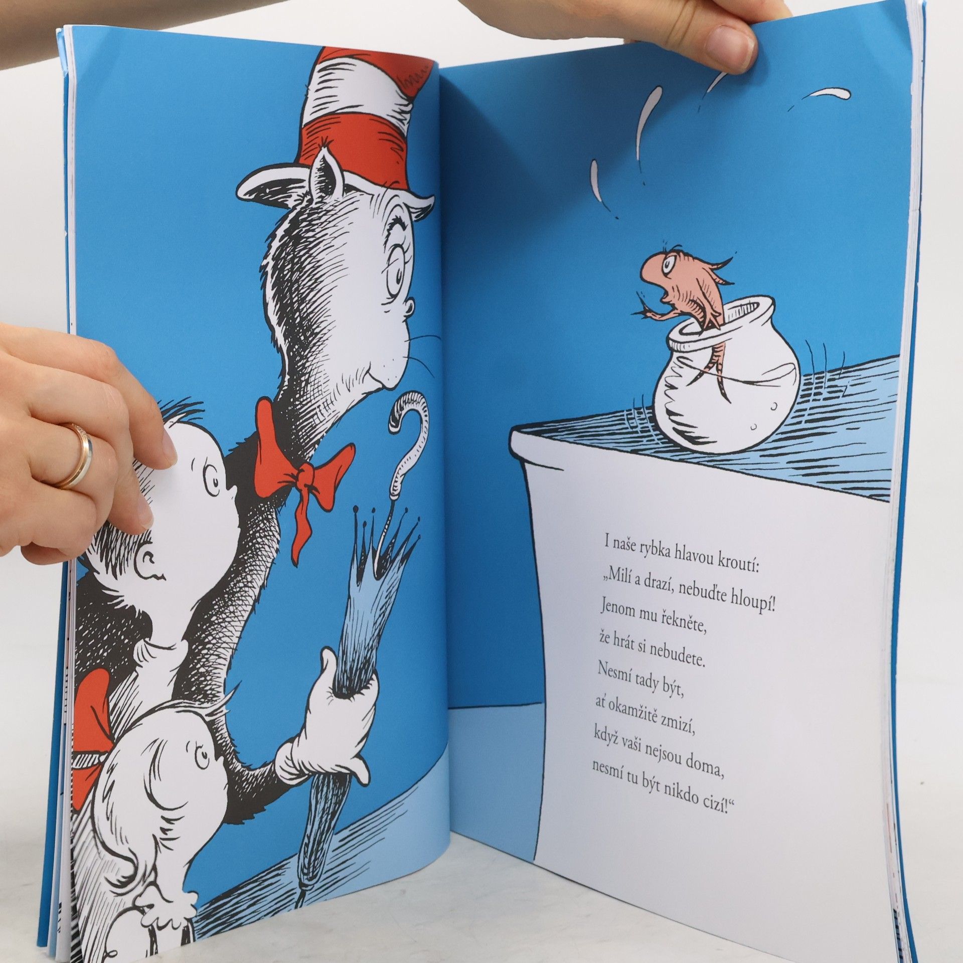 Dr. Seuss Kocour v klobouku