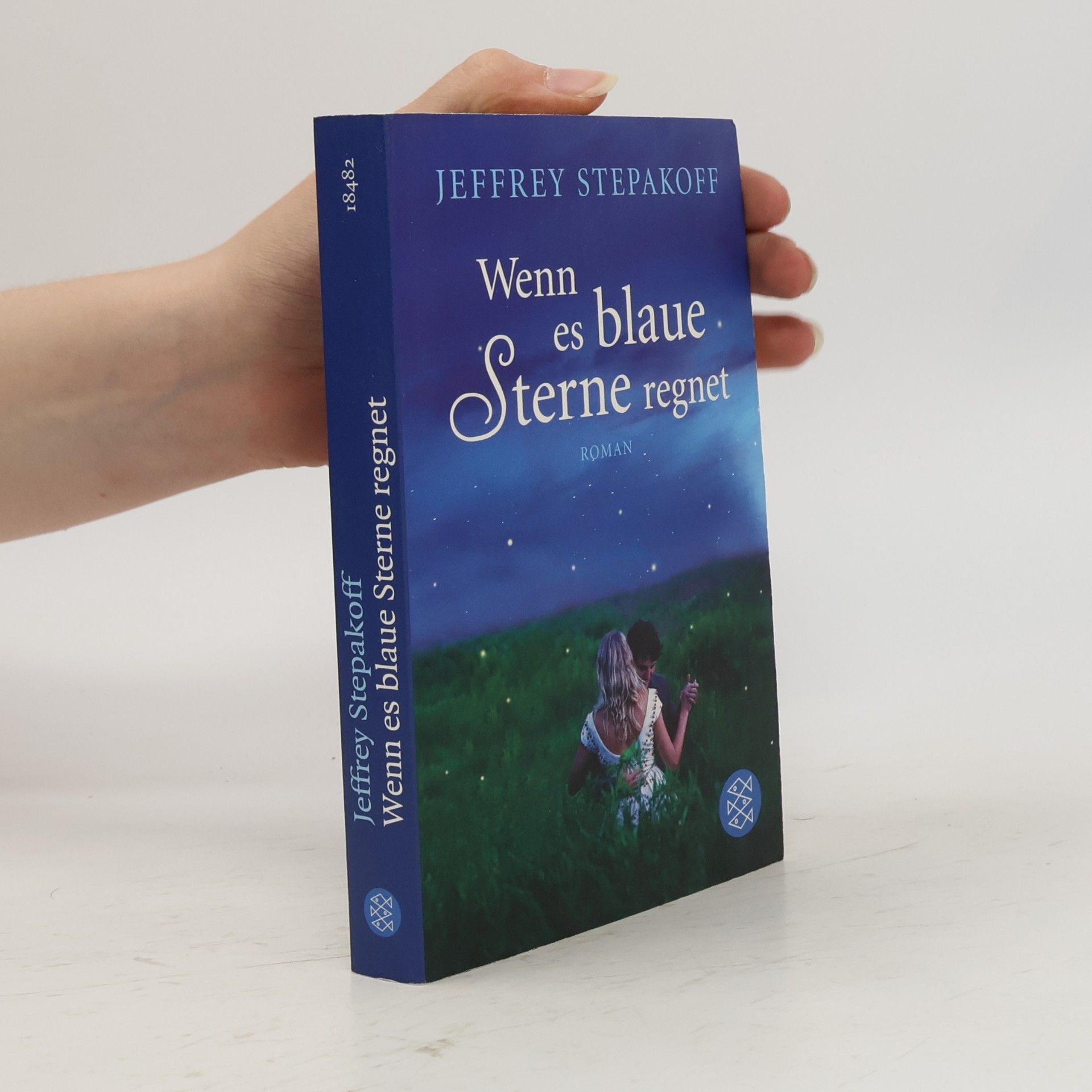 Jeffrey Stepakoff Wenn es blaue Sterne regnet