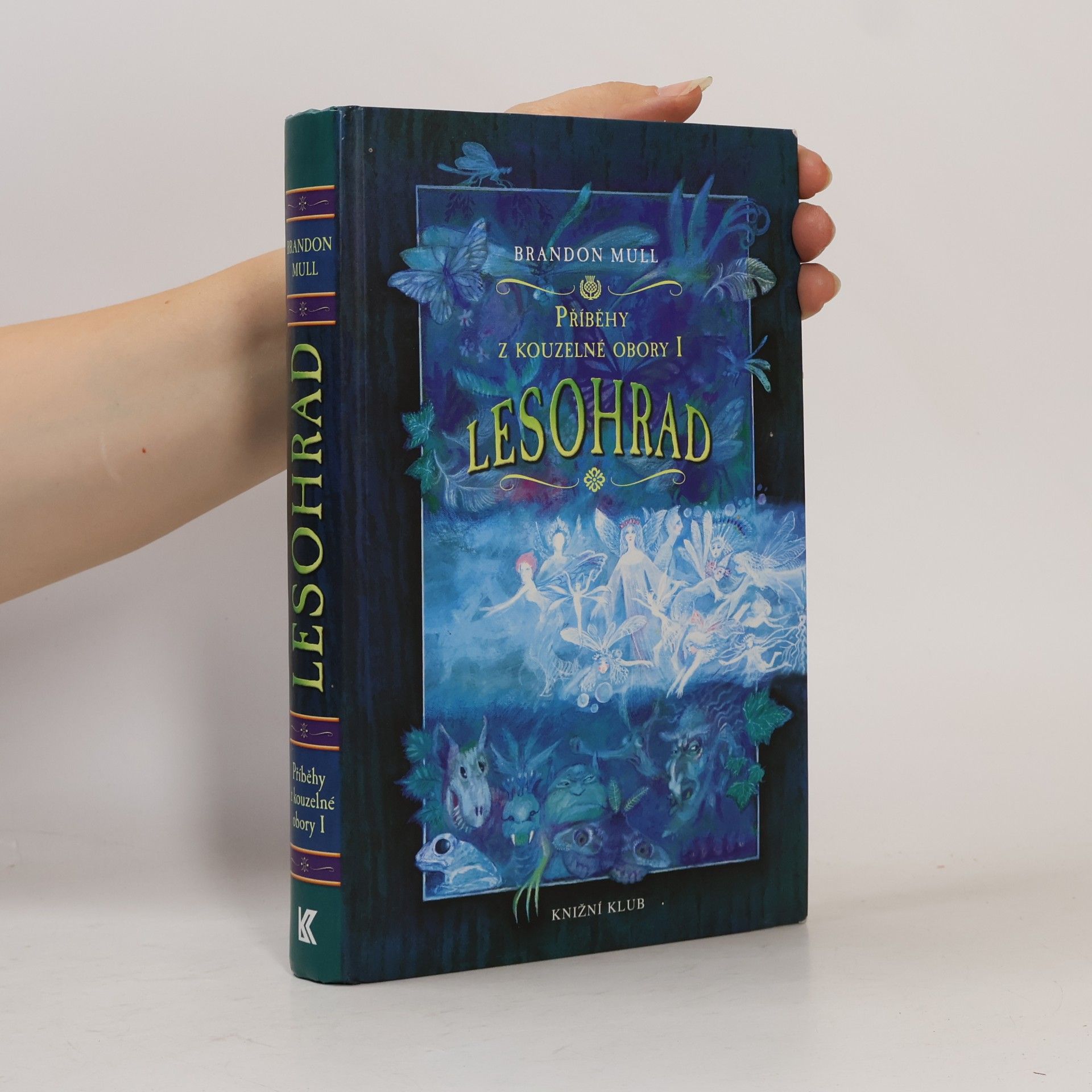 Brandon Mull Příběhy z kouzelné obory 1. Lesohrad