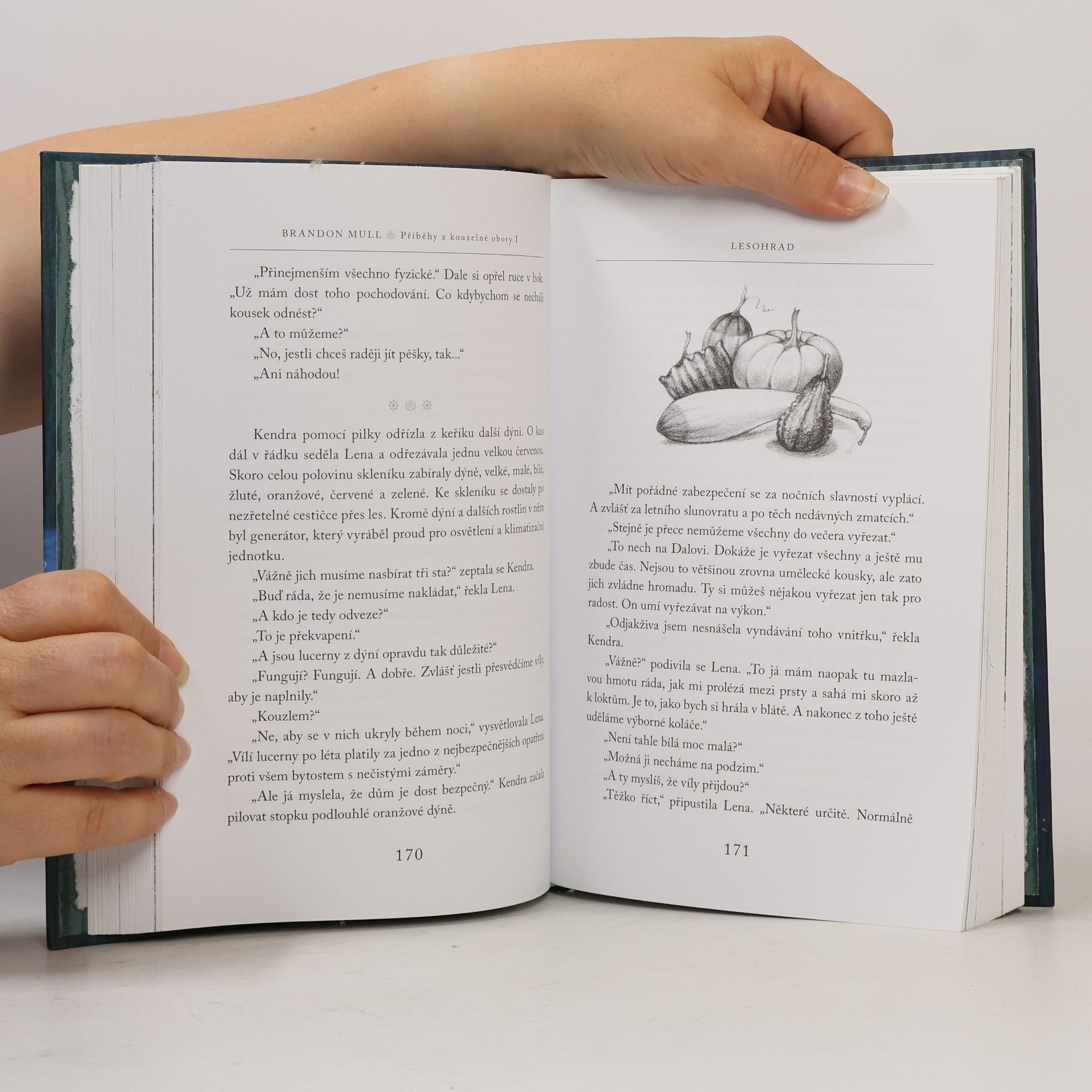 Brandon Mull Příběhy z kouzelné obory 1. Lesohrad
