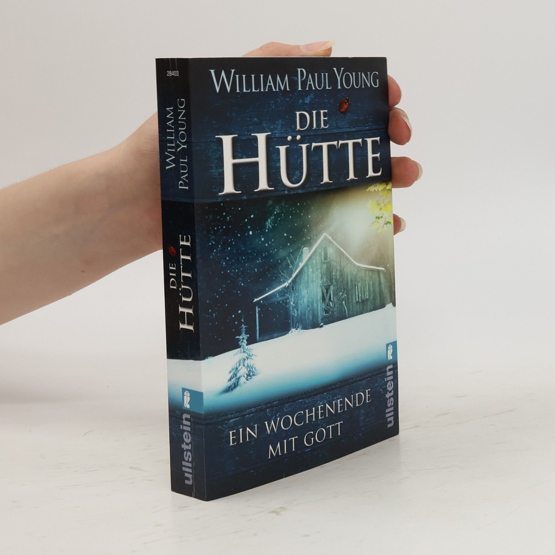 William P. Young Die Hütte