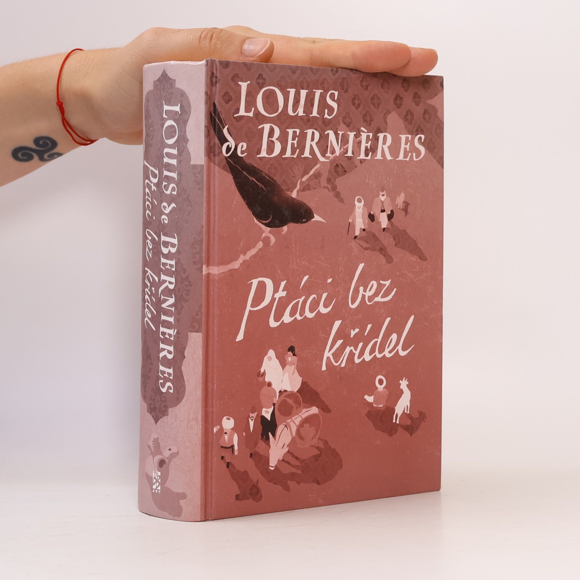Louis de Bernières Ptáci bez křídel