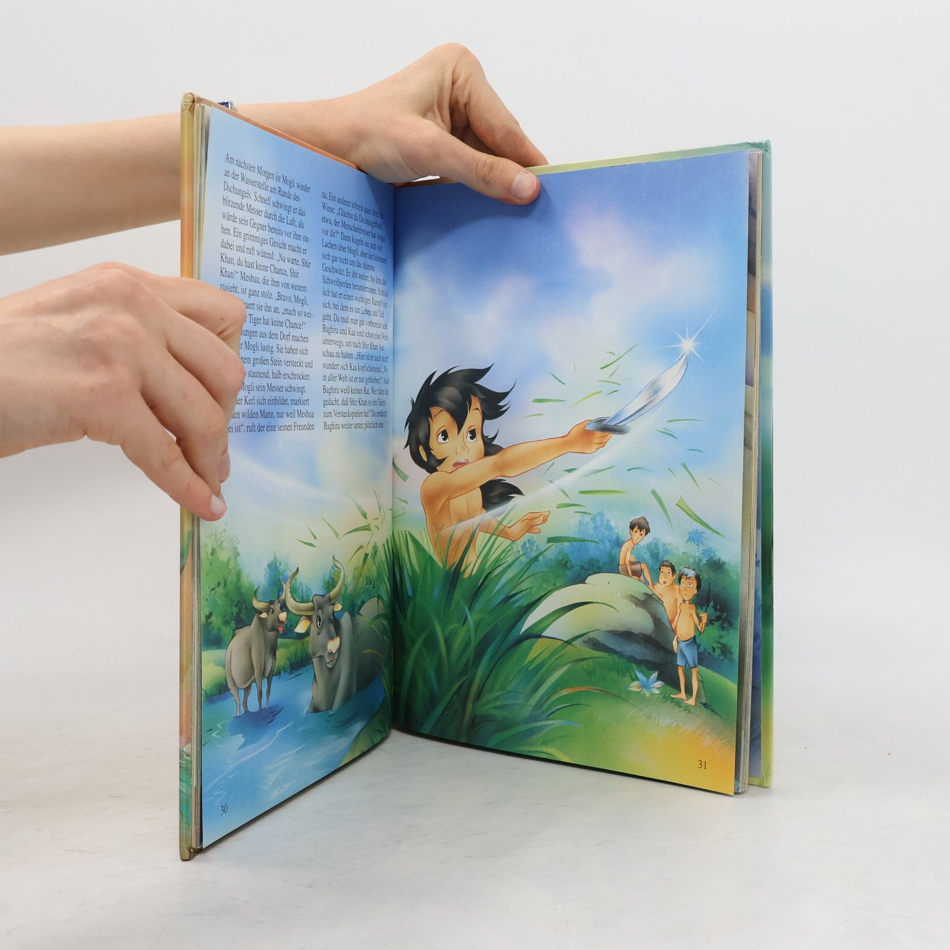 Autorenkollektiv Dschungelbuch