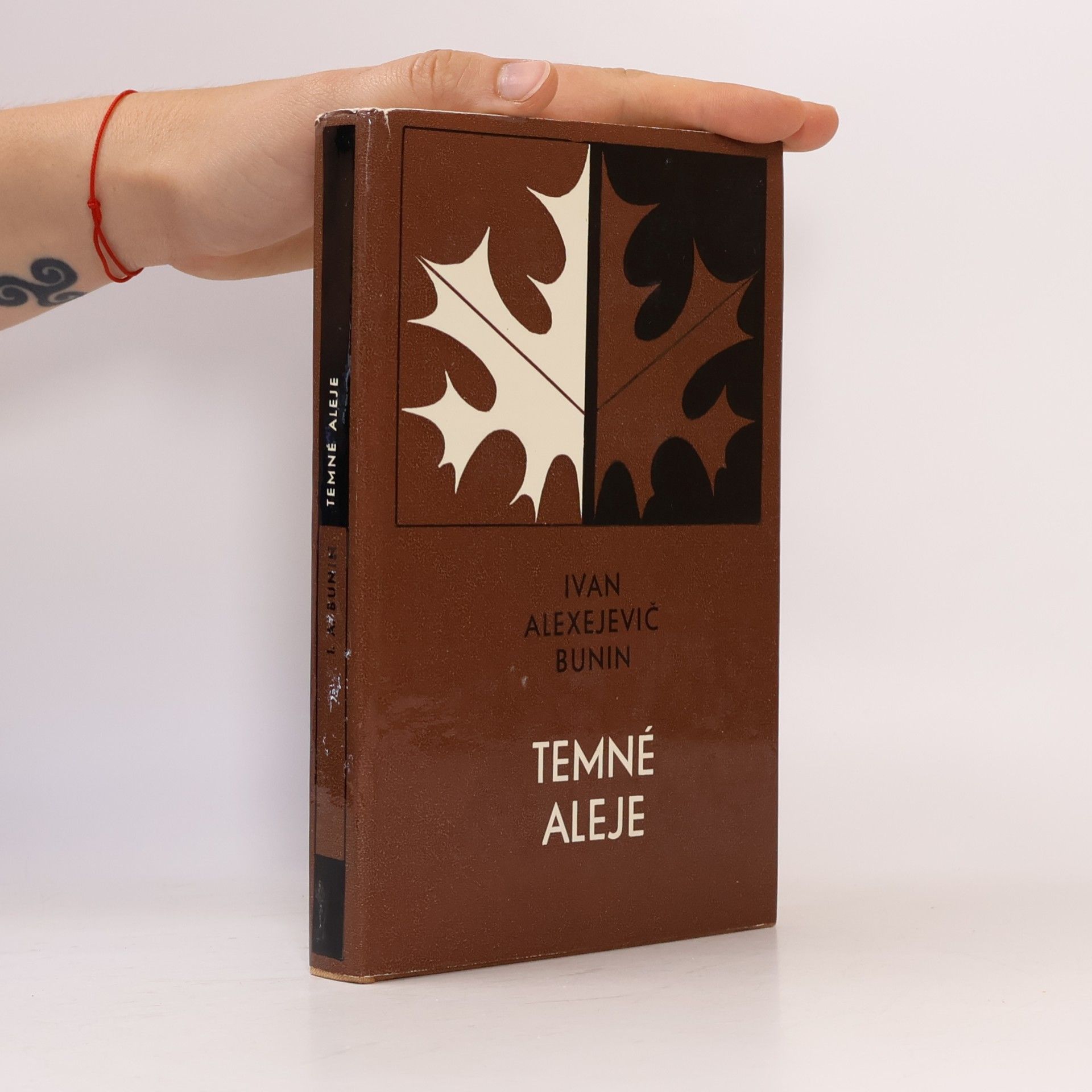 Iwan Alexejewitsch Bunin Temné aleje