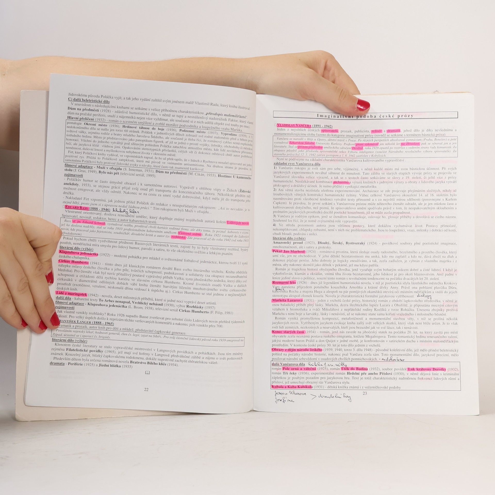 Vladimír Prokop Přehled české literatury 20. století