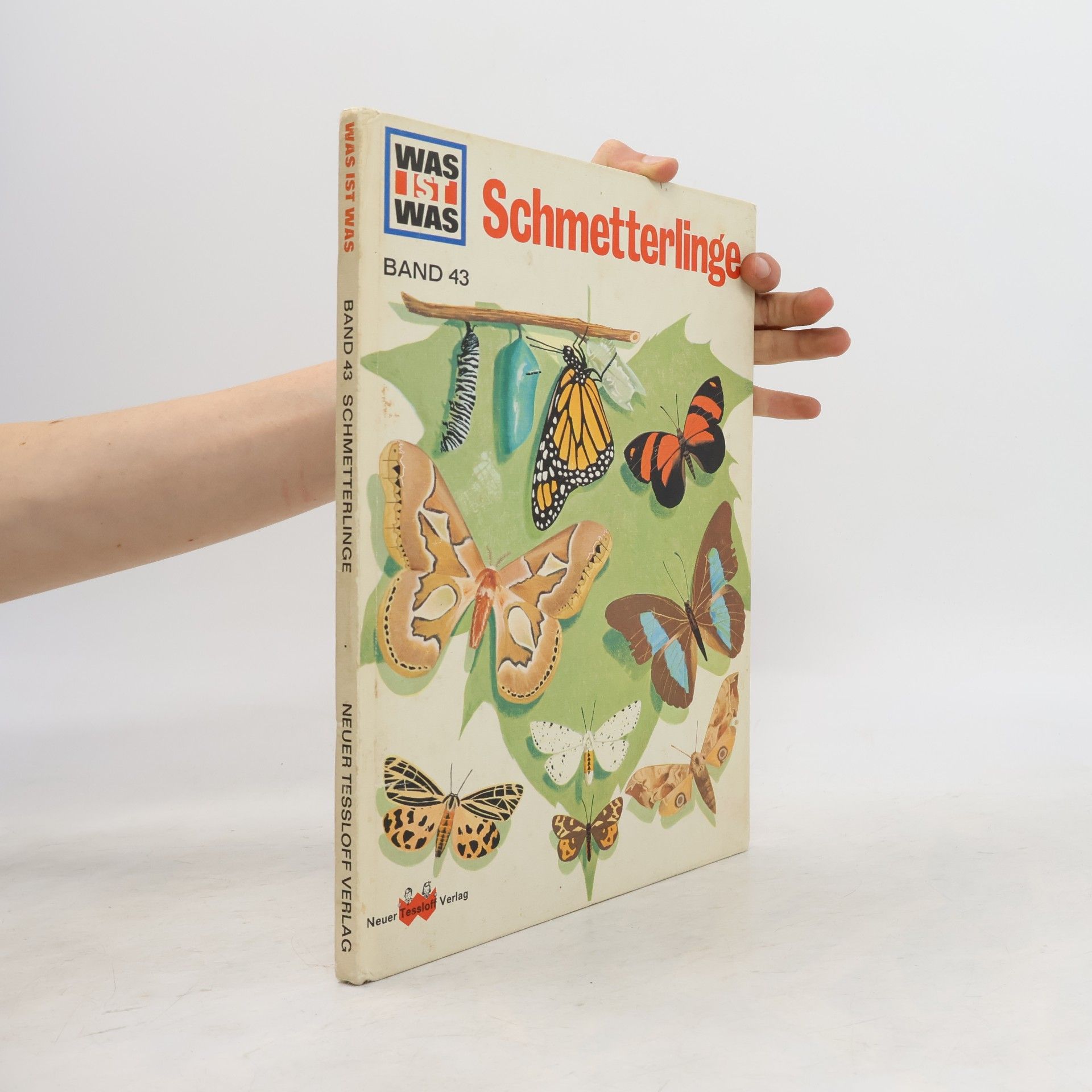 Ronald N. Rood Schmetterlinge