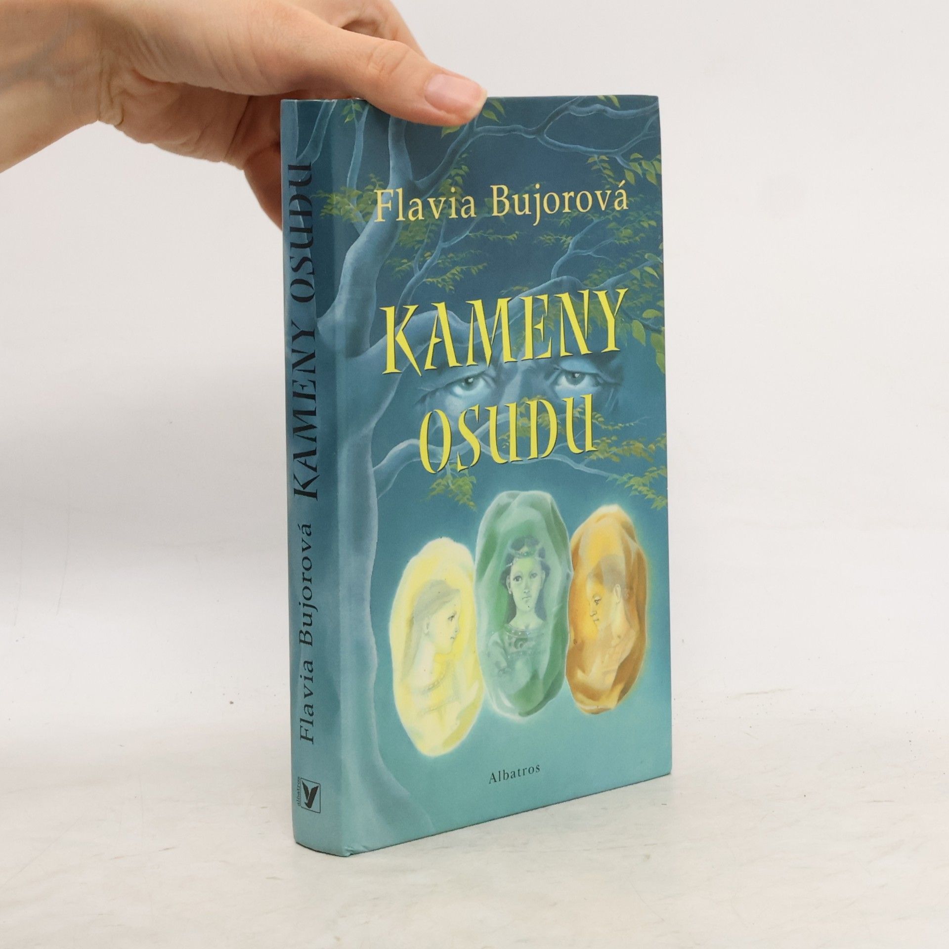 Flavia Bujor Kameny osudu