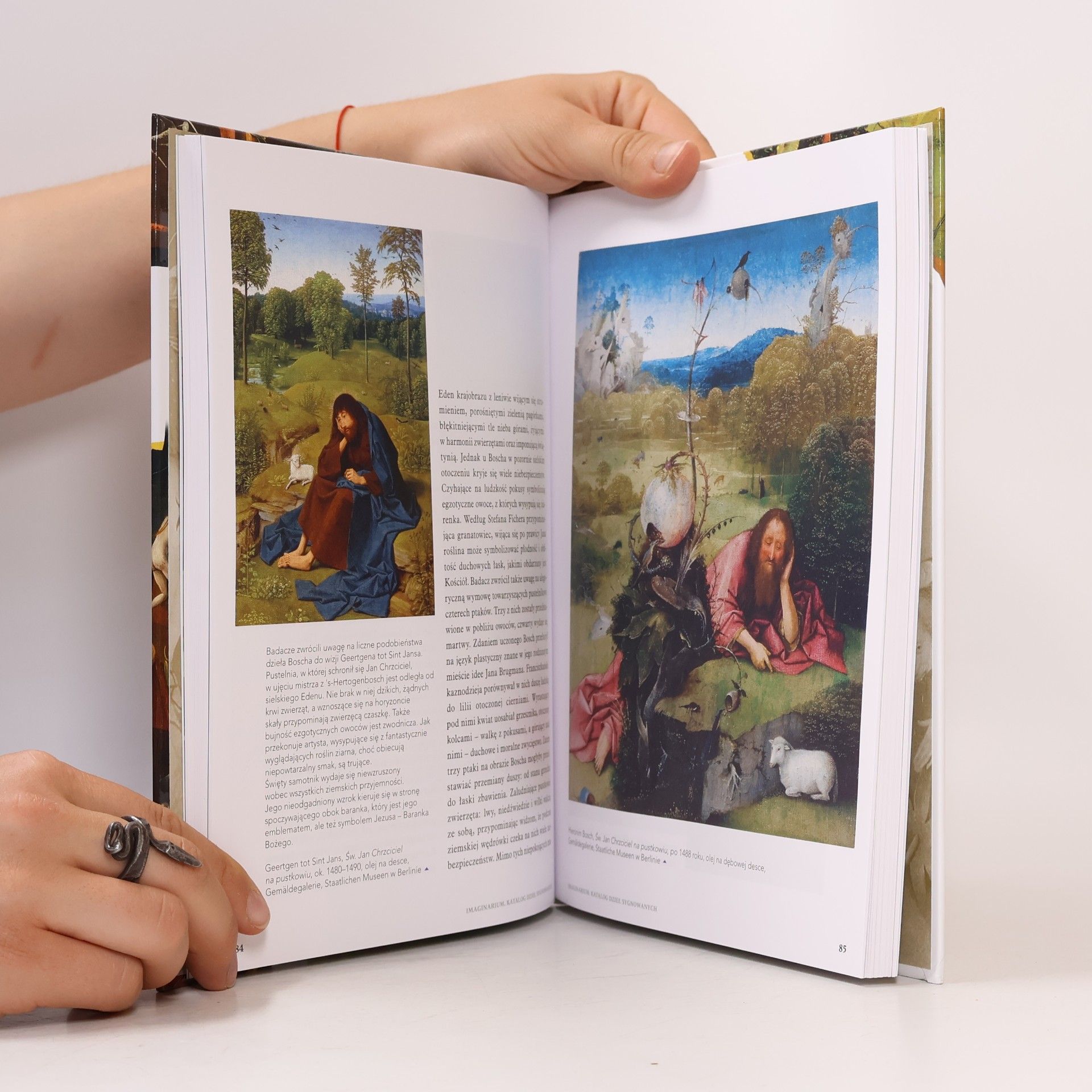 Luba Ristujcina Hieronim Bosch