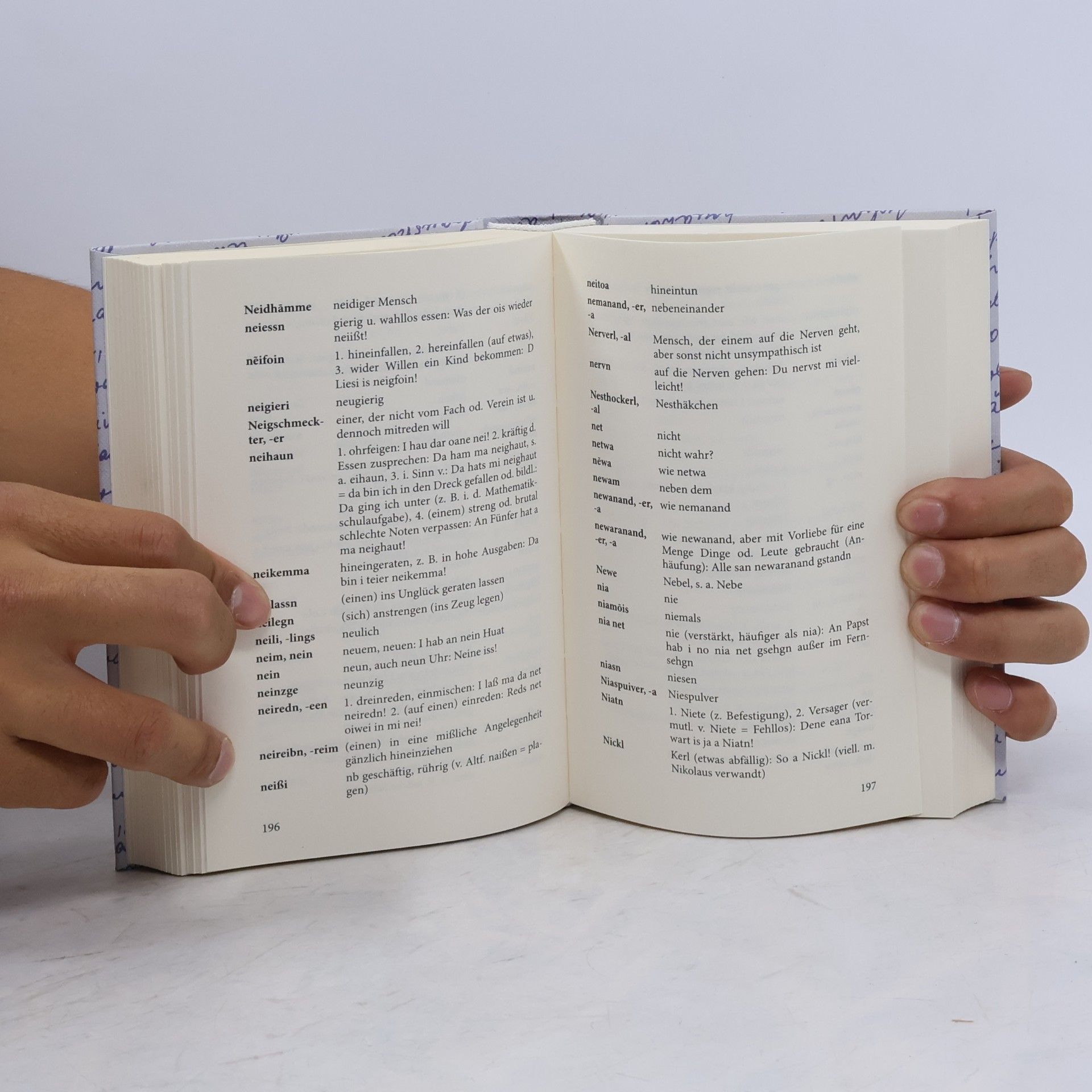 Anton Neuhäusler Ringseis' bayerisches Wörterbuch