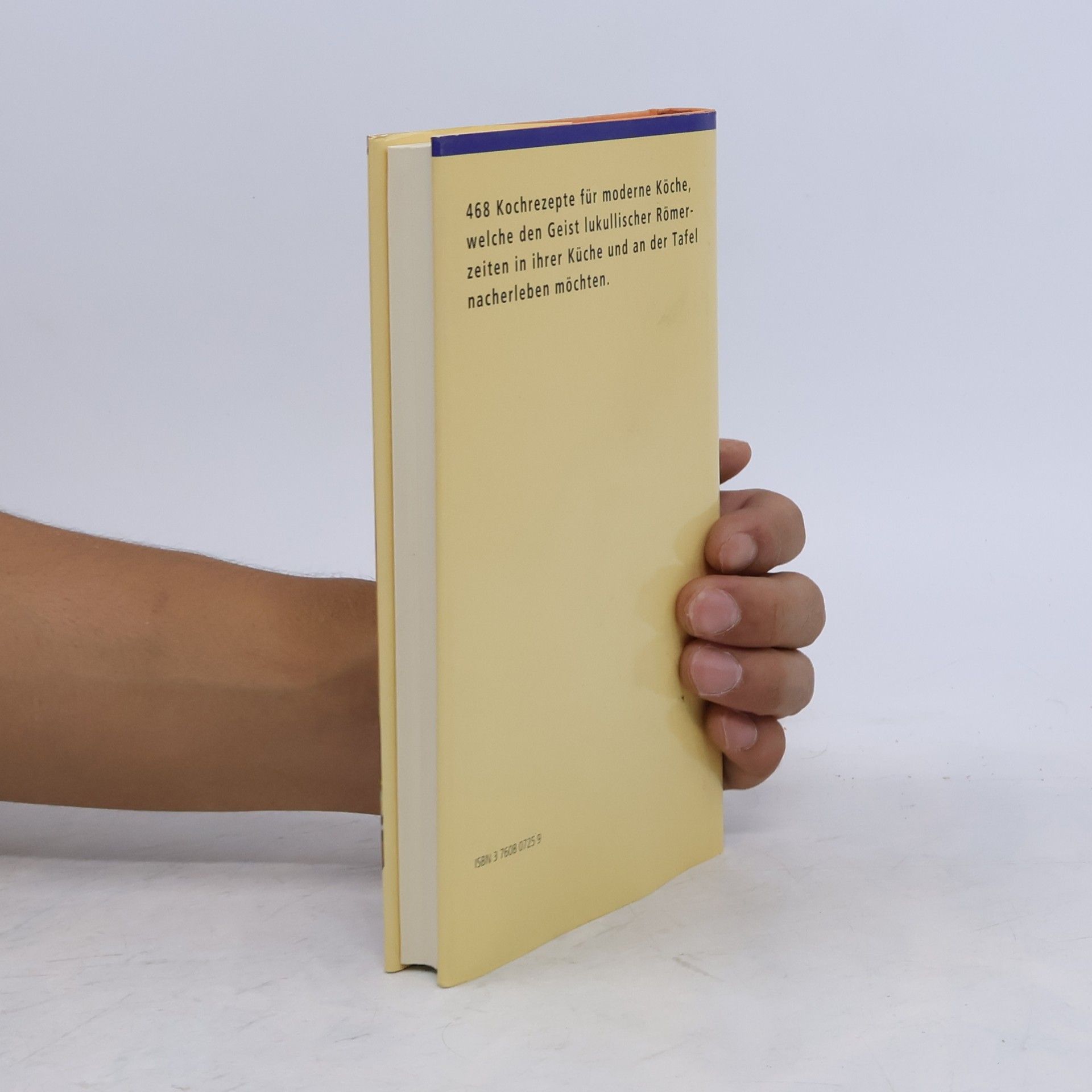 Apicius Das Kochbuch der Römer
