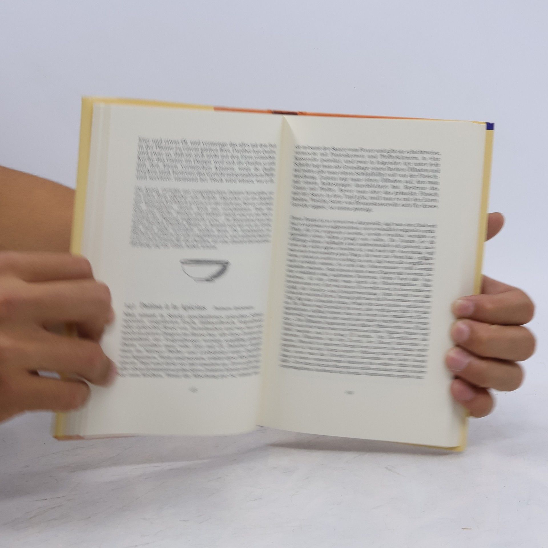 Apicius Das Kochbuch der Römer