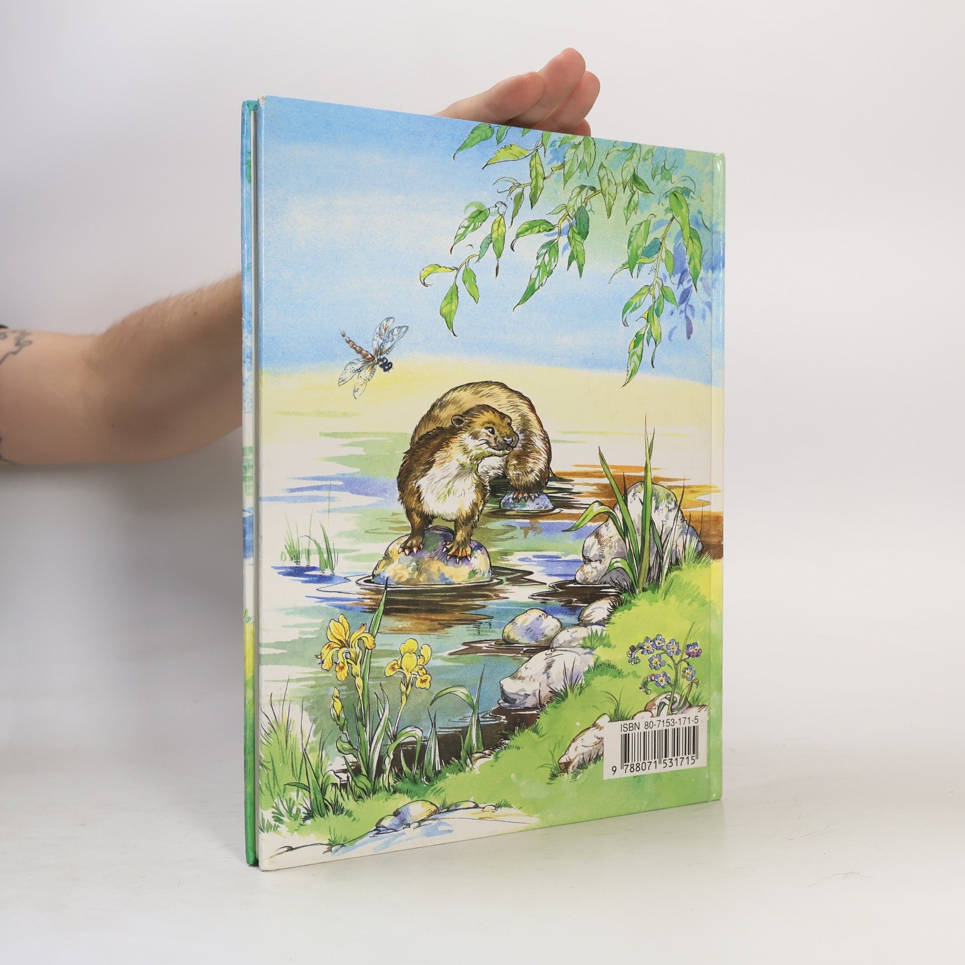 Kenneth Grahame Rozprávky spod vŕby