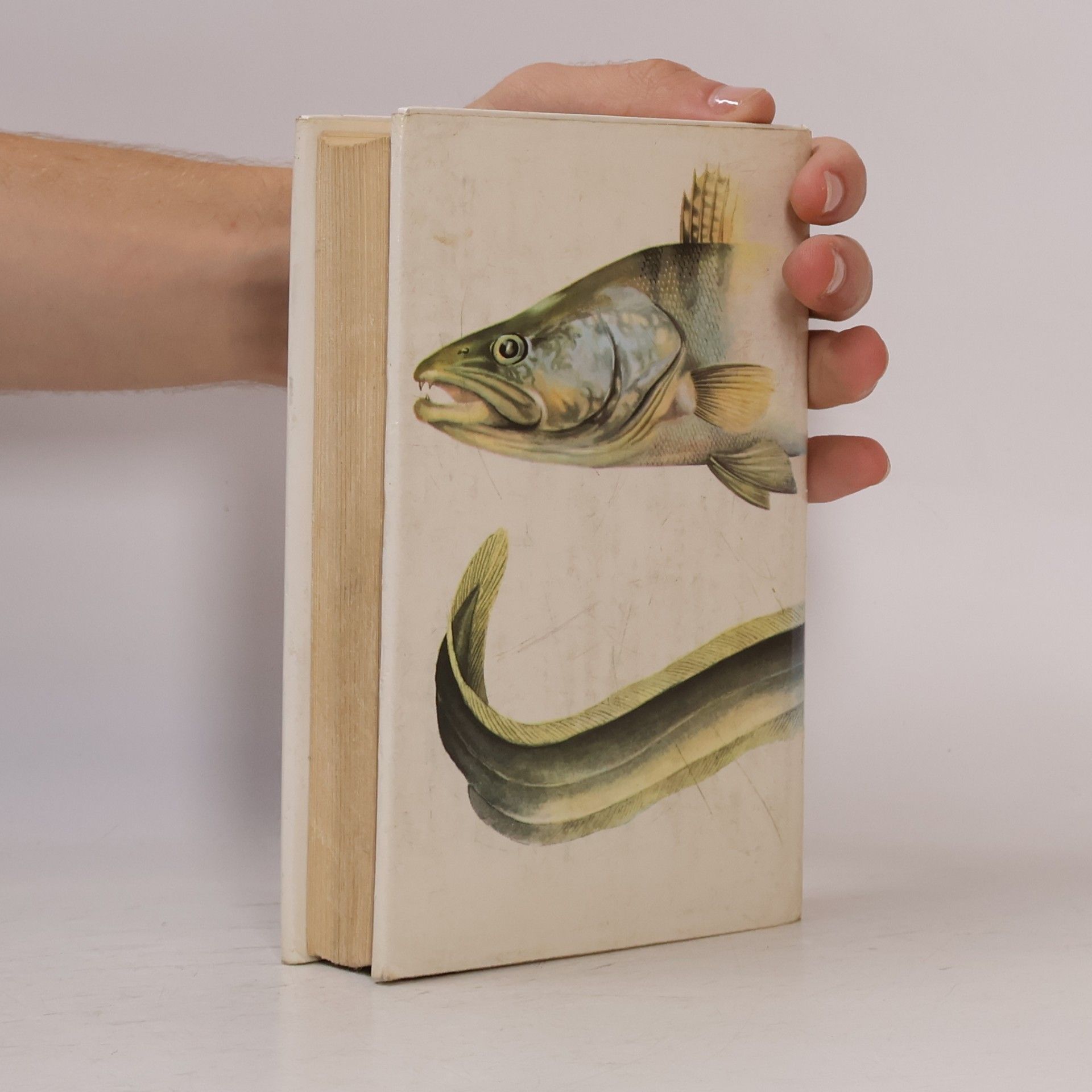Autorenkollektiv Freshwater Fishes