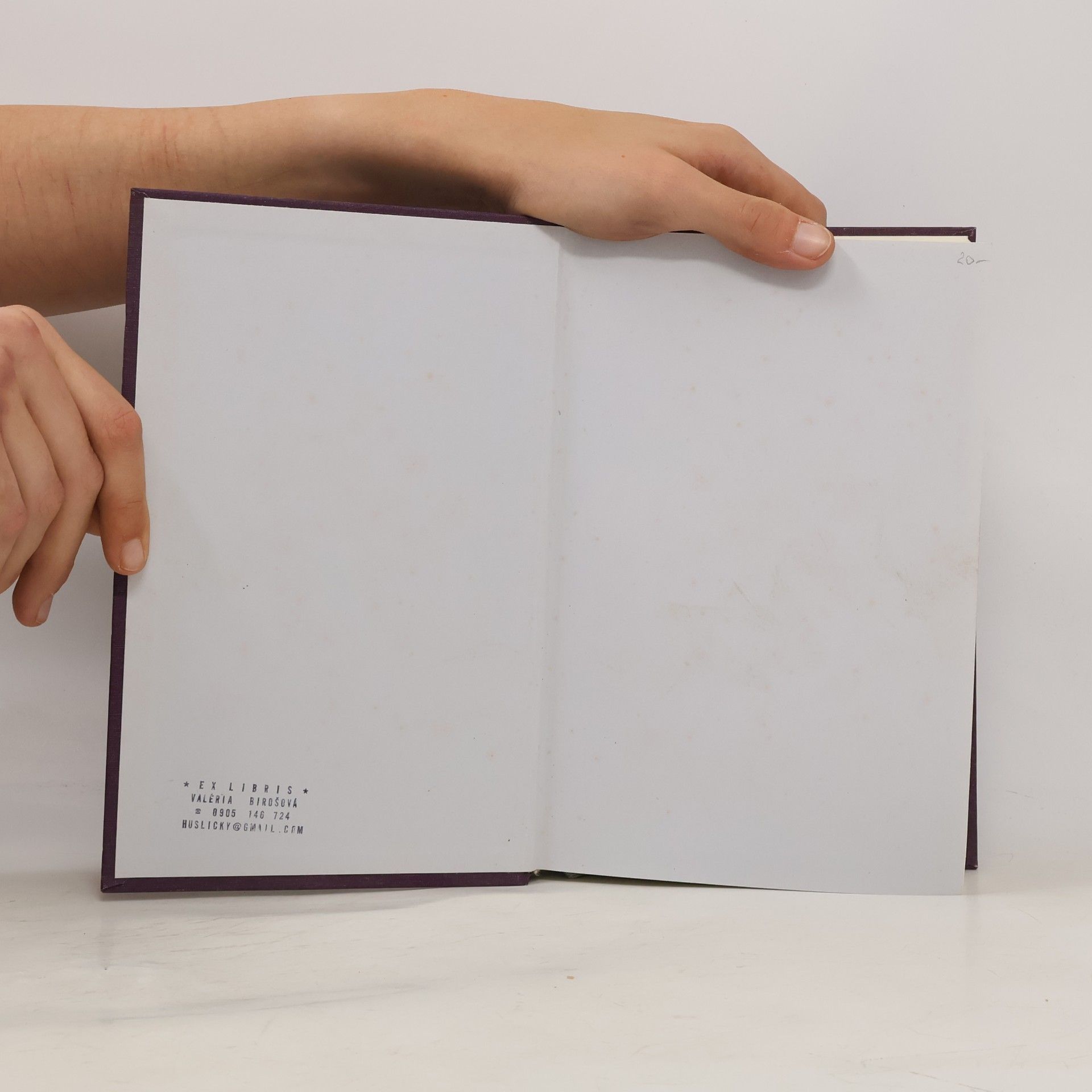 Alexandre Dumas The Three Musketeers