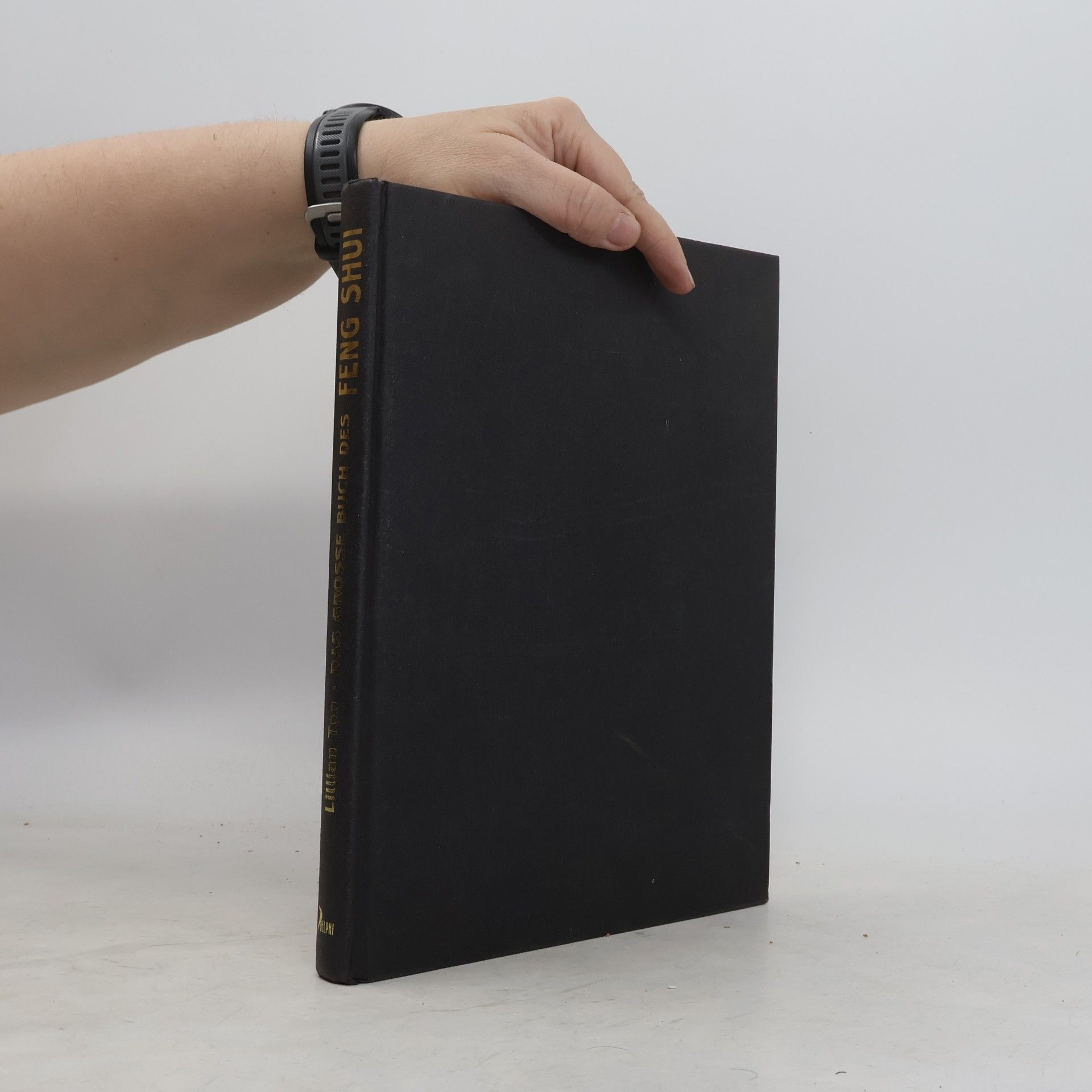 Lillian Too Das grosse Buch des Feng-Shui