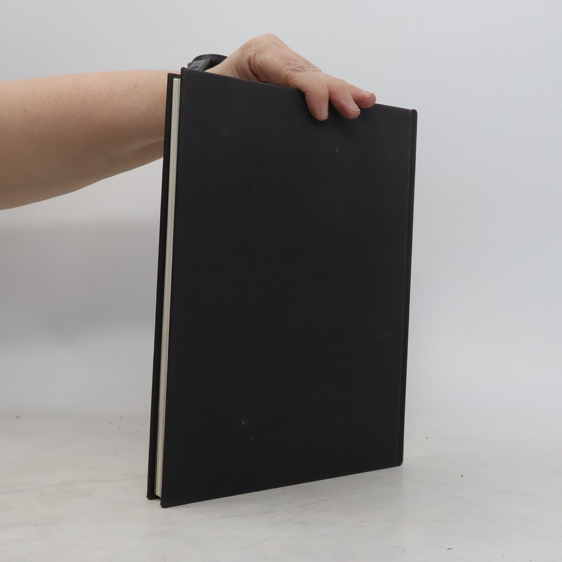 Lillian Too Das grosse Buch des Feng-Shui