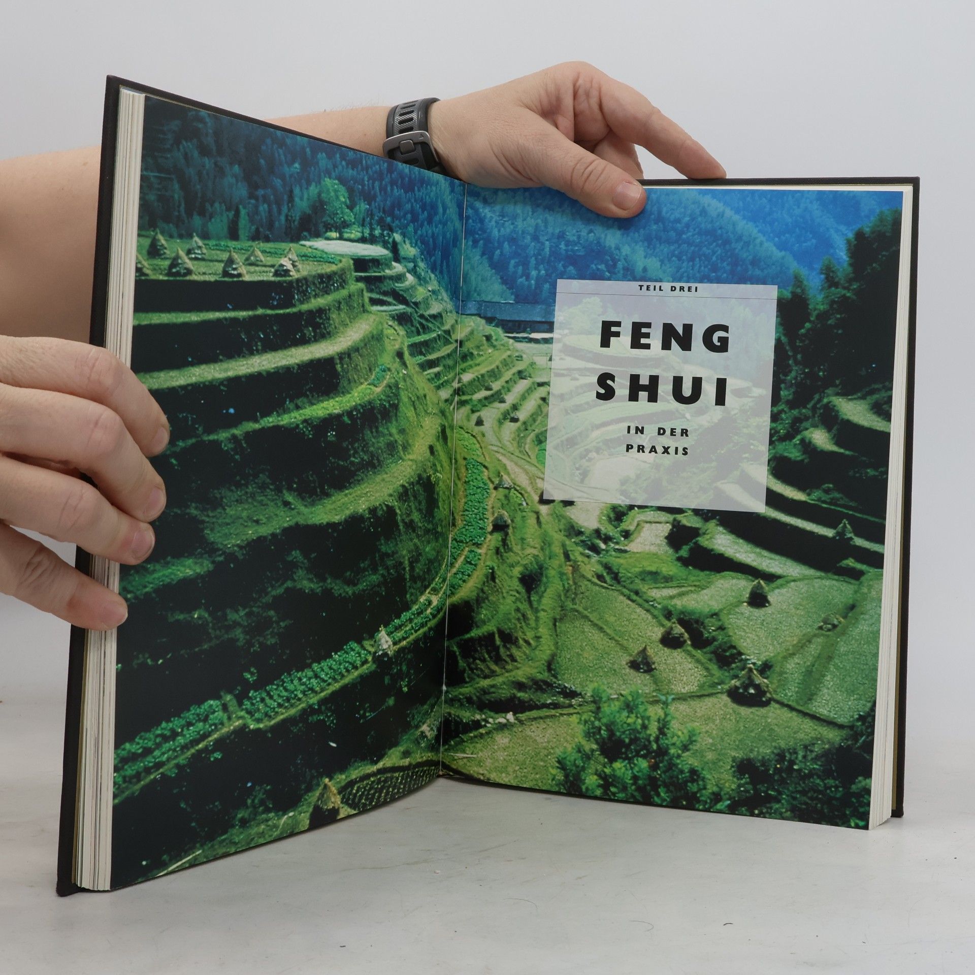 Lillian Too Das grosse Buch des Feng-Shui