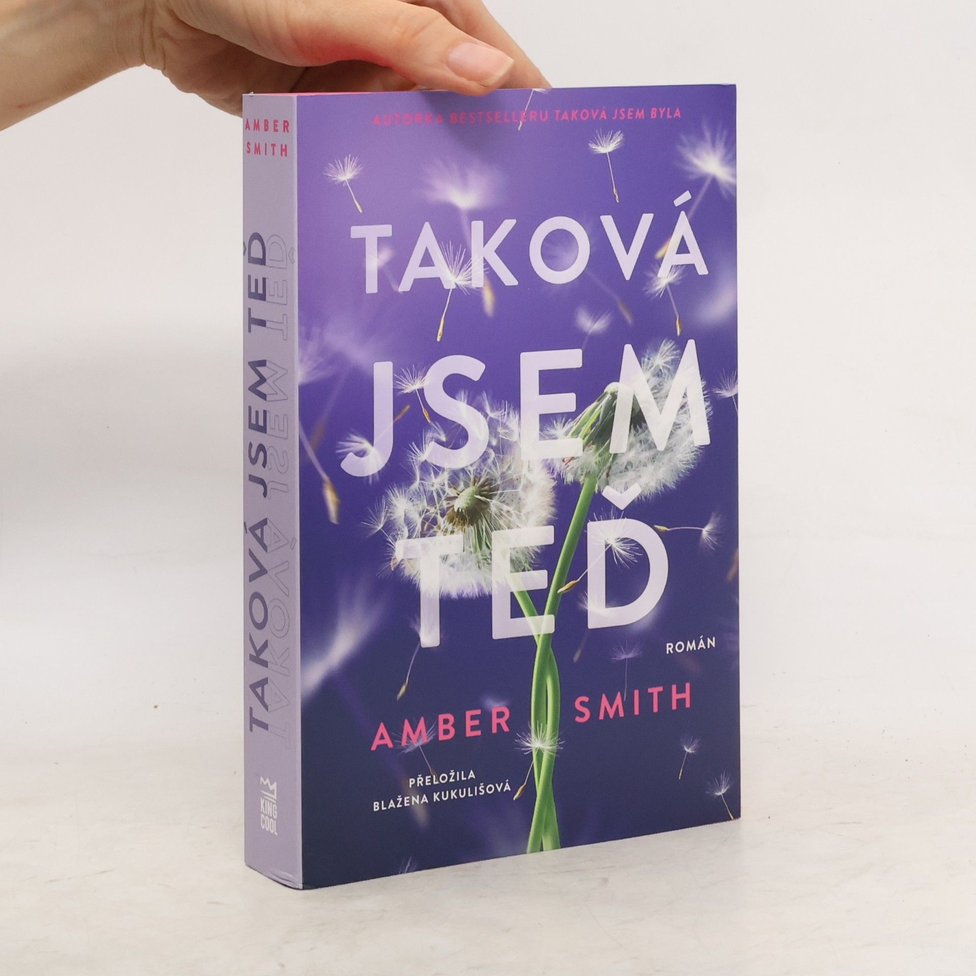 Amber Smith Taková jsem teď