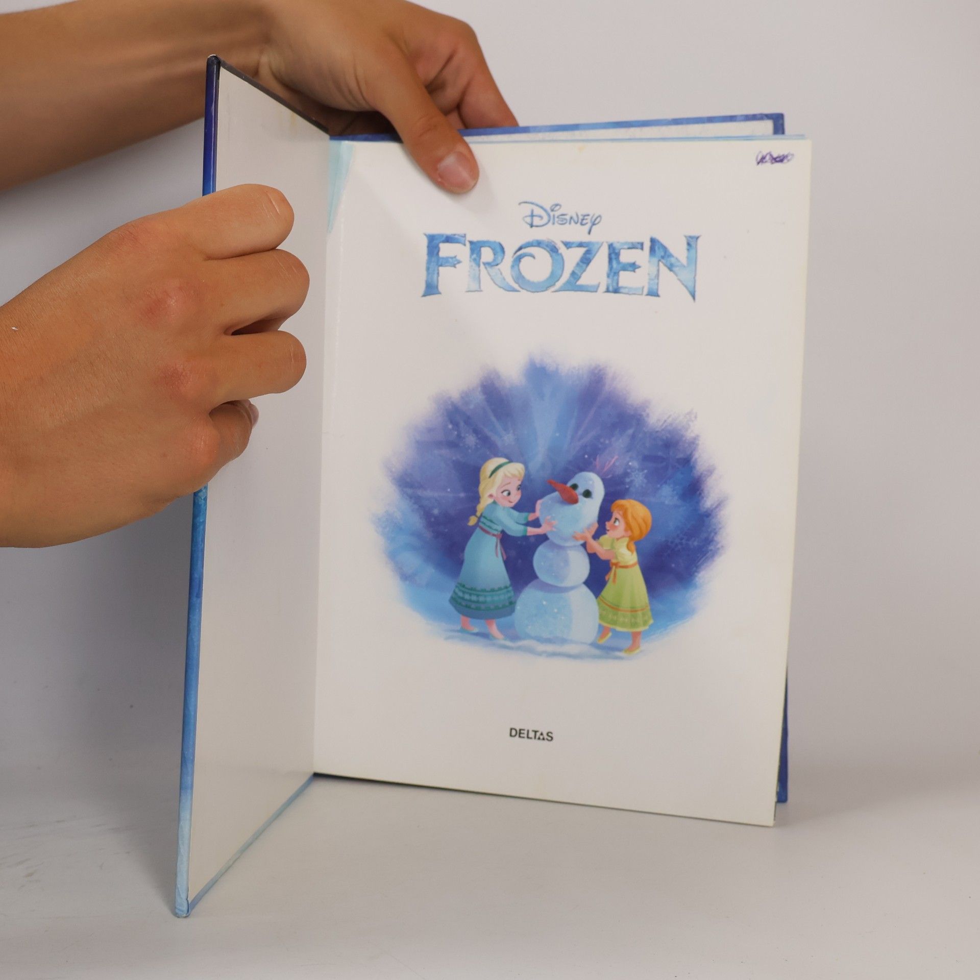 Walt Disney Company Frozen