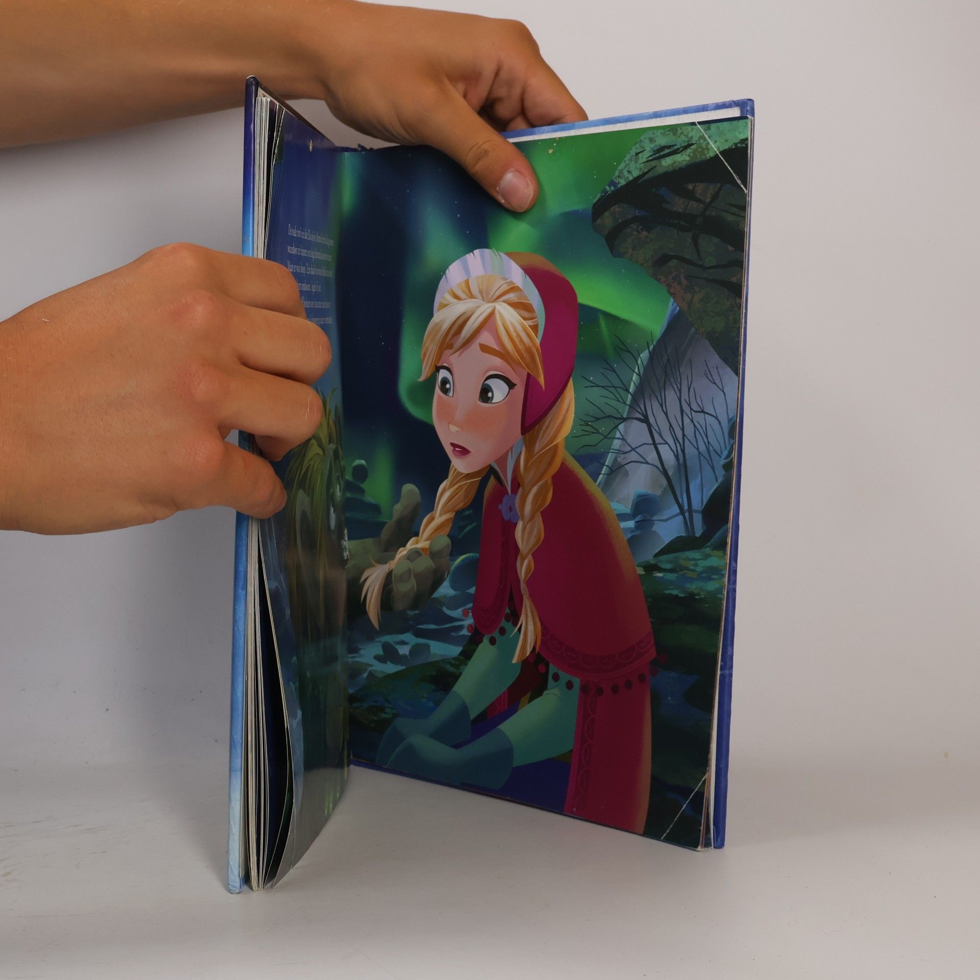 Walt Disney Company Frozen