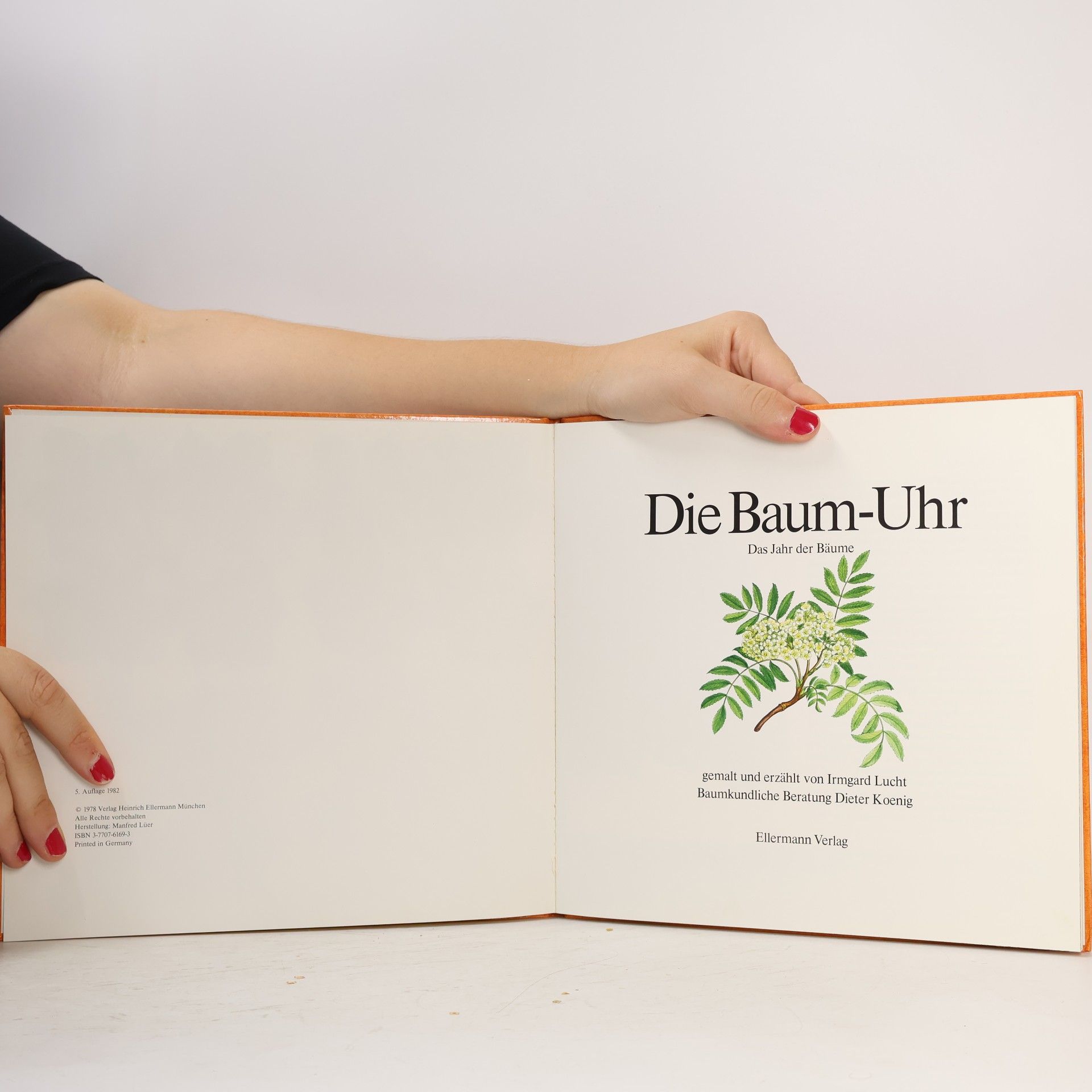 Autorenkollektiv Die Baum-Uhr